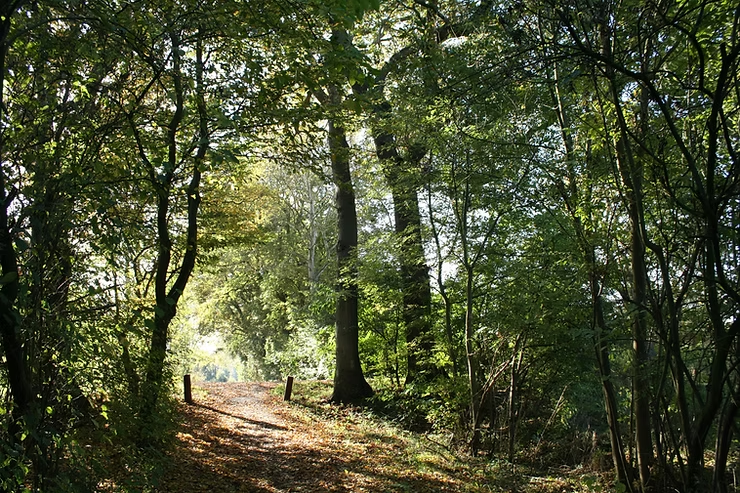 Four Lovely Cotswold Walks Just Moments from Your Door