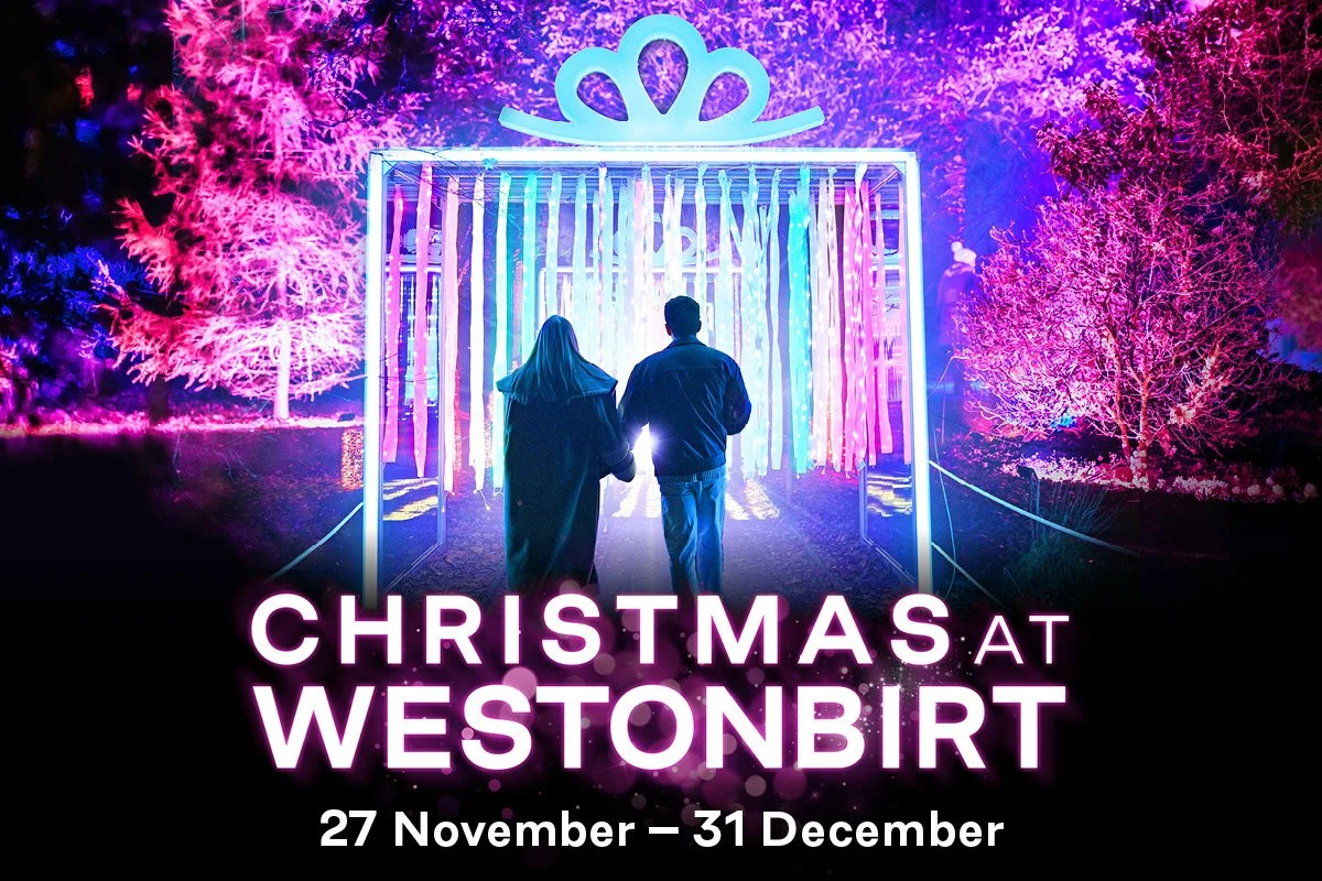 Christmas at Westonbirt Arboretum 2026: A Magical Winter Evening
