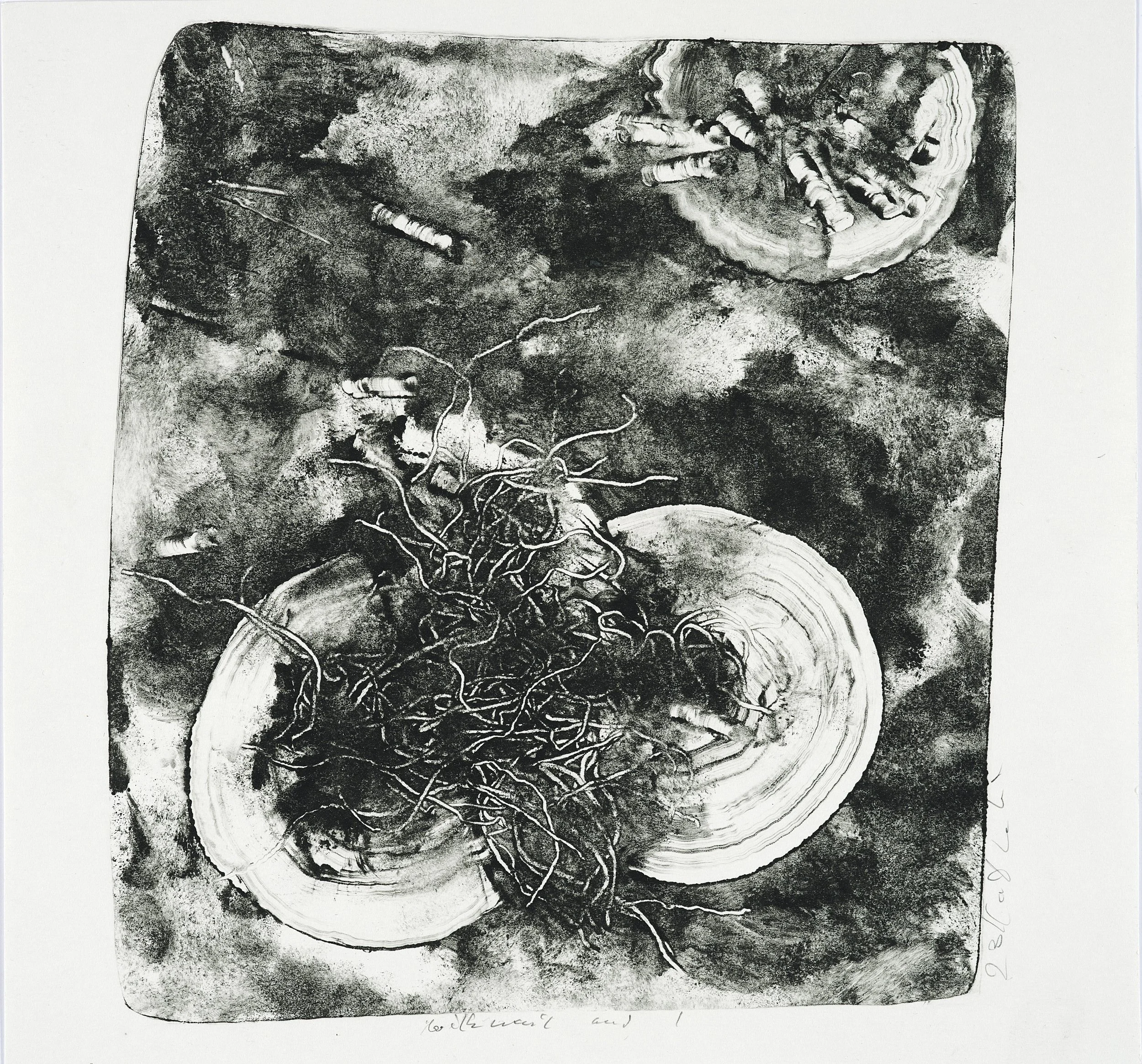 A black and white artwork depicting a tangled mass of roots and two large, semi-circular objects resembling shells or plant parts, set against a textured background with a few pills scattered around.