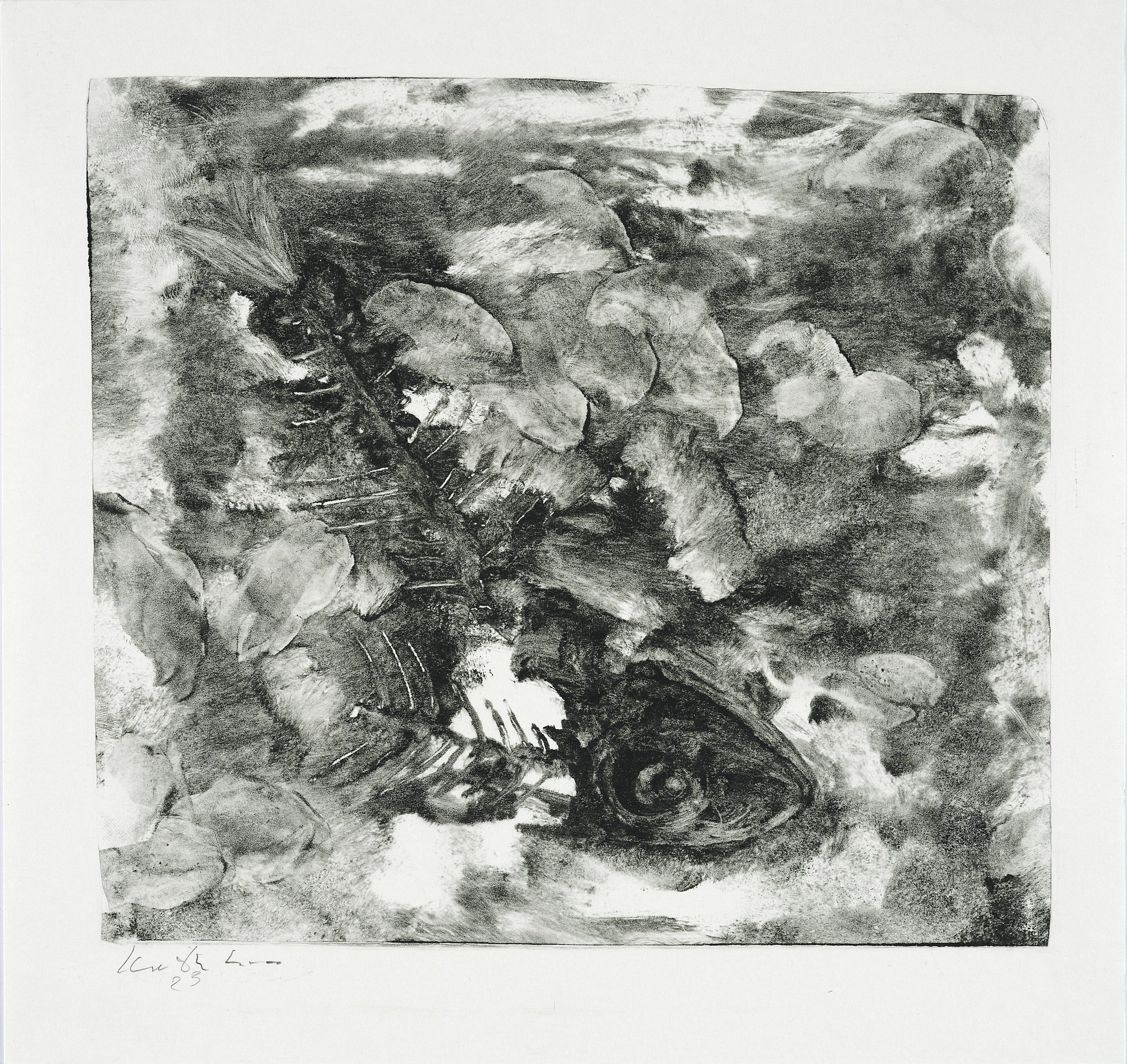 Black and white drawing of a fish beneath water surrounded by rocks and aquatic plants.