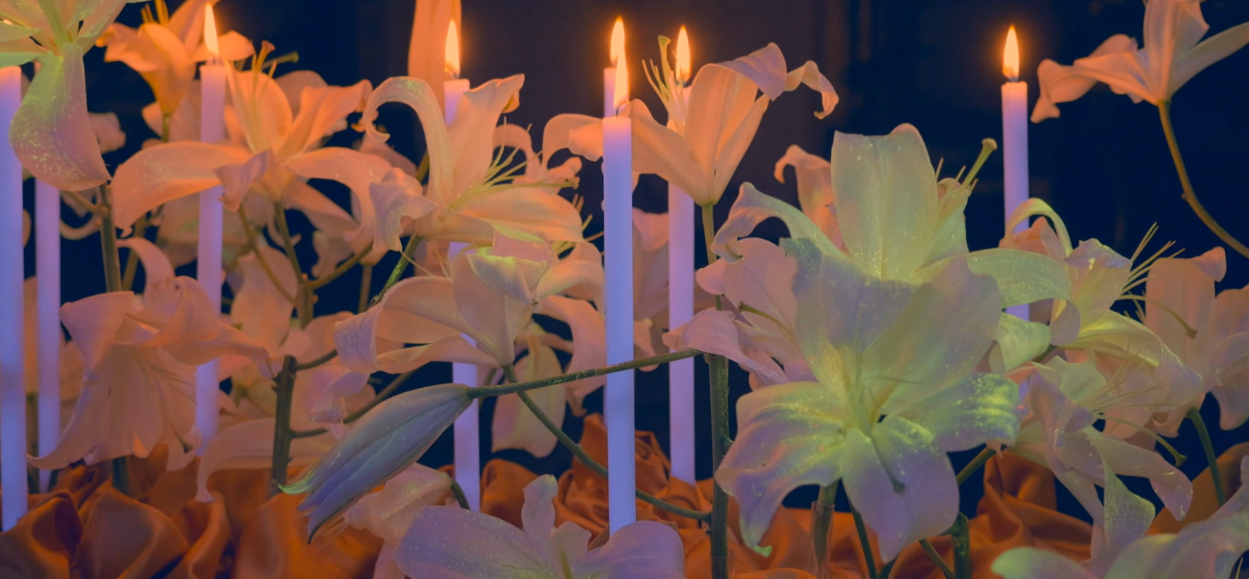 Screenshot 2026-03-19 004946.png