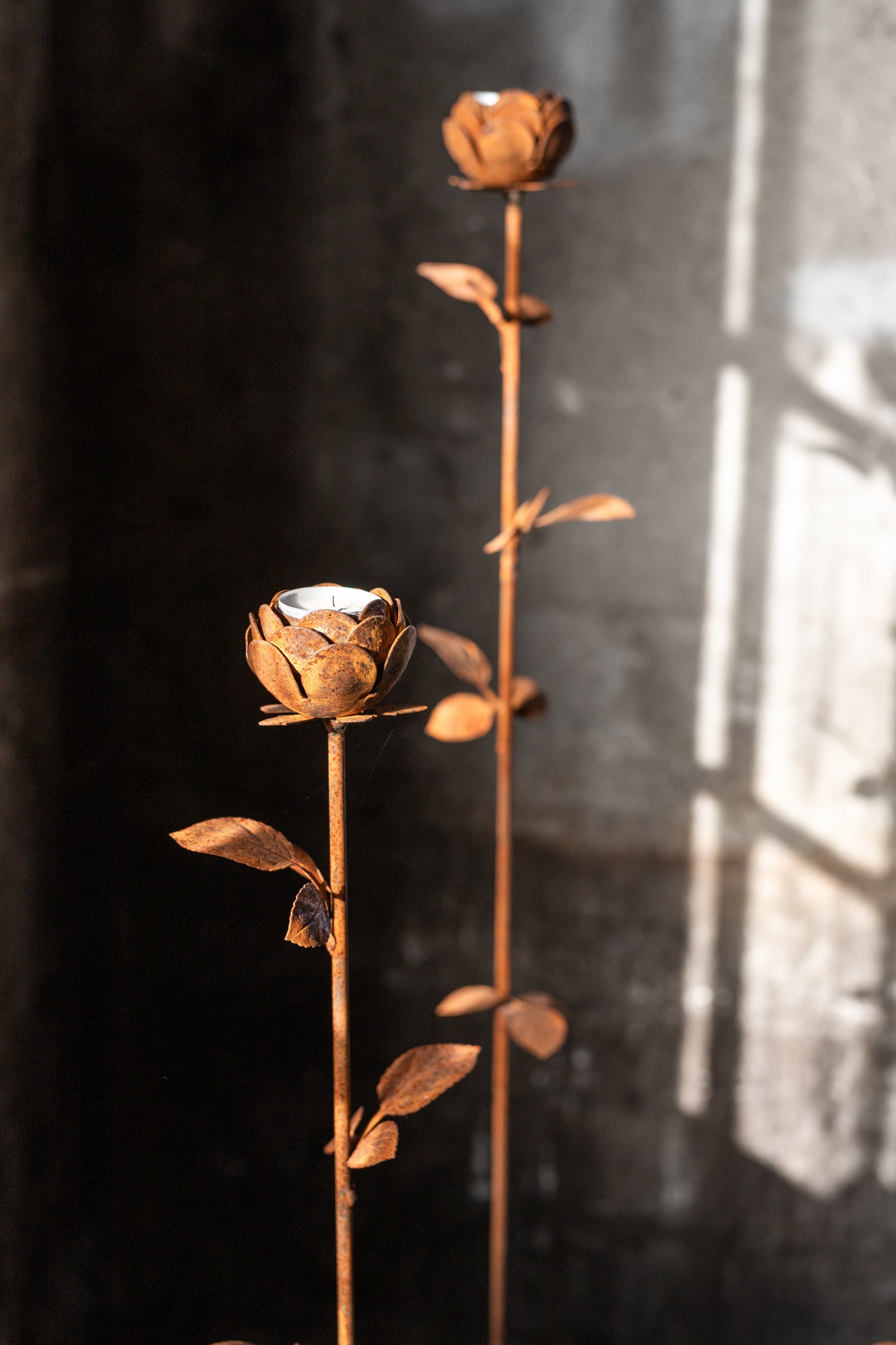 Rusty metal plant sculptures shaped like roses with leaves, standing vertically. One sculpture has a small candle holder inside a rose at the bottom. Background is dark with a shadow of a window.