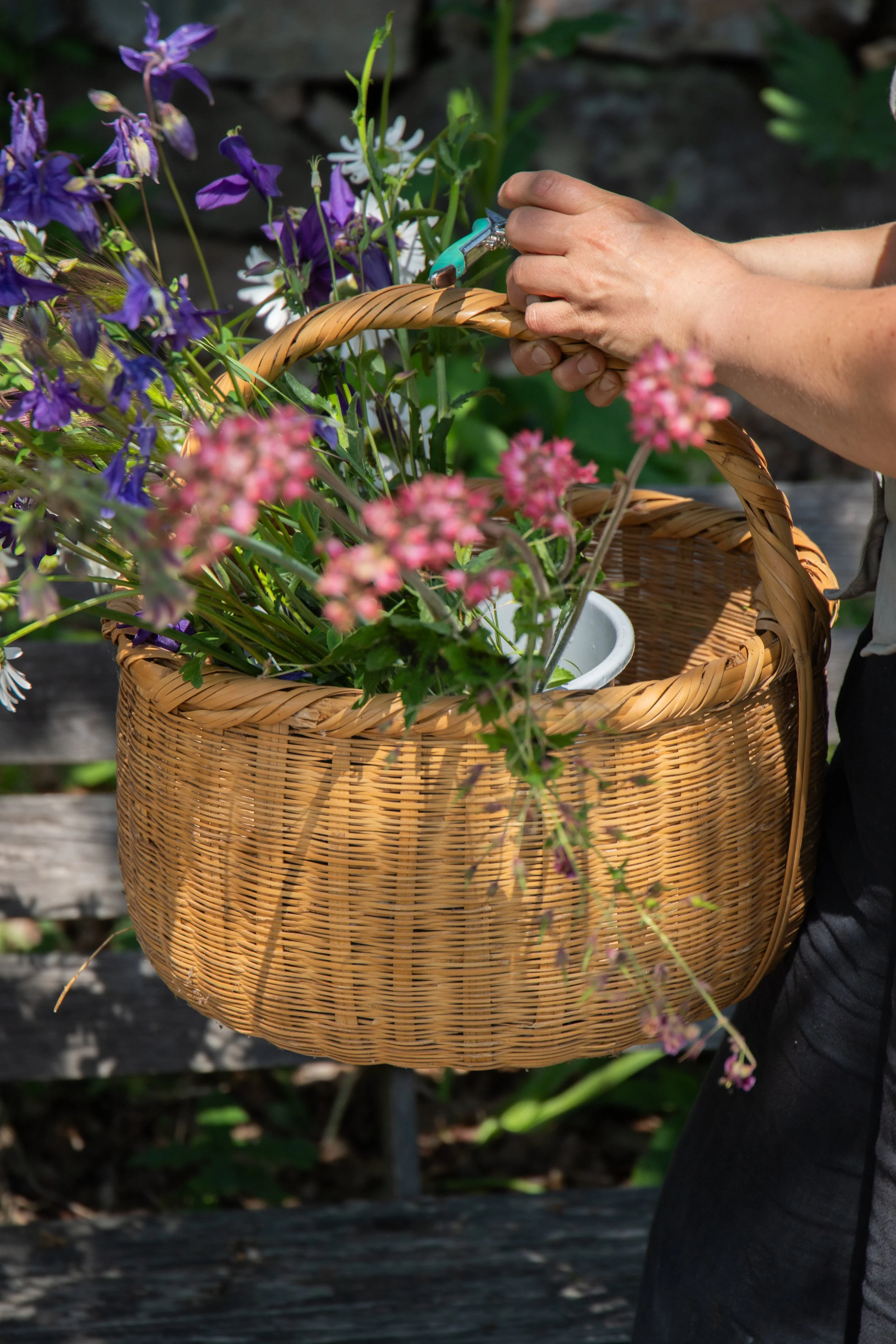 Person harvesting colorful flowers from a basket with pruning shears.