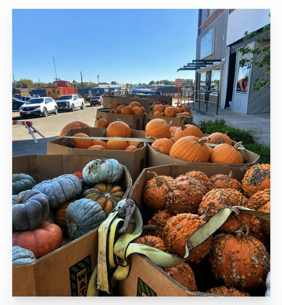 Truck Load of Pumpkins.jpeg
