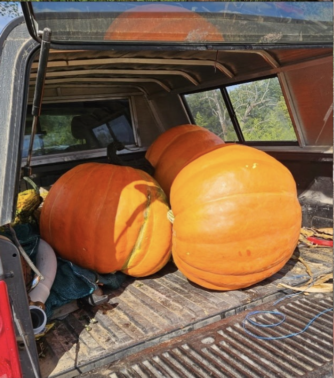 Grand Pumpkin