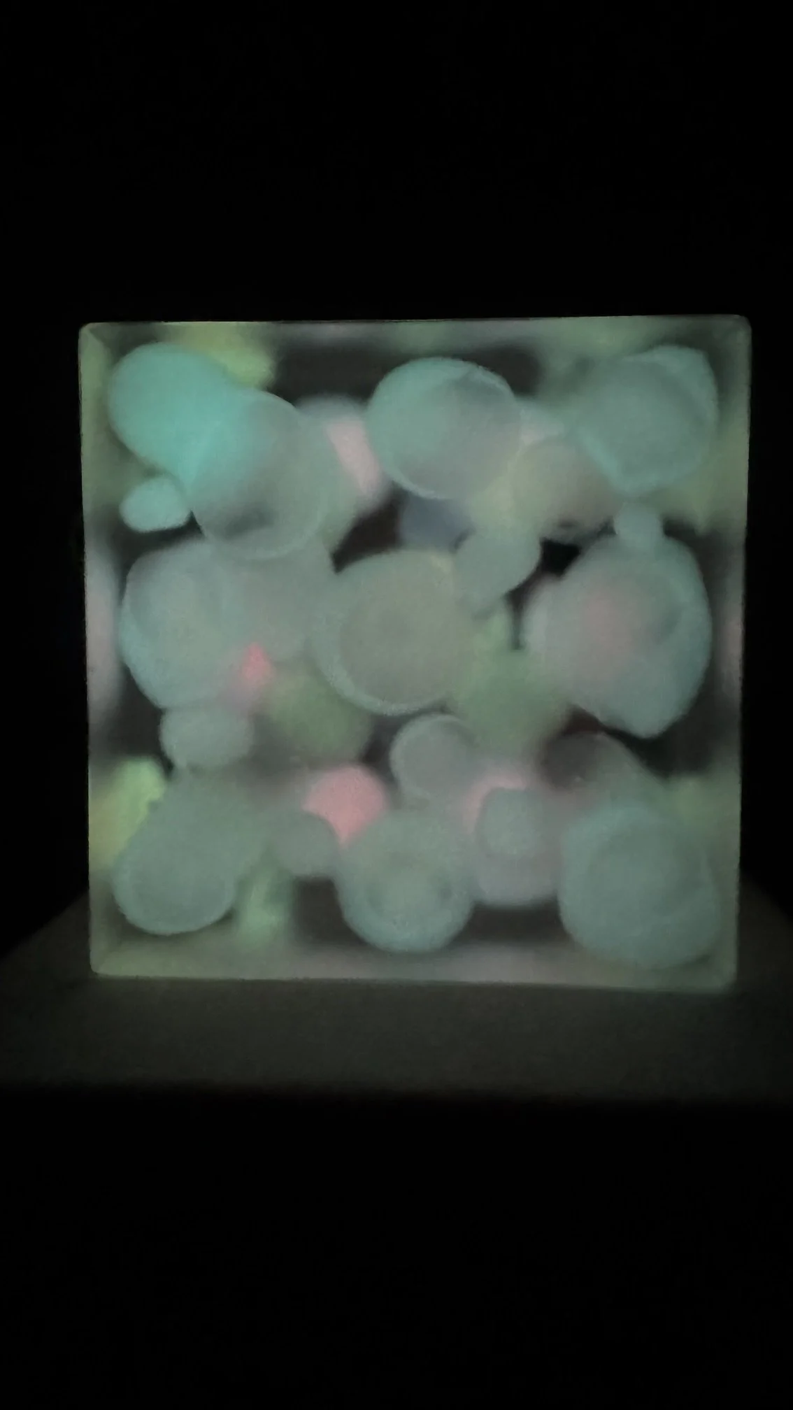 image12.jpeg