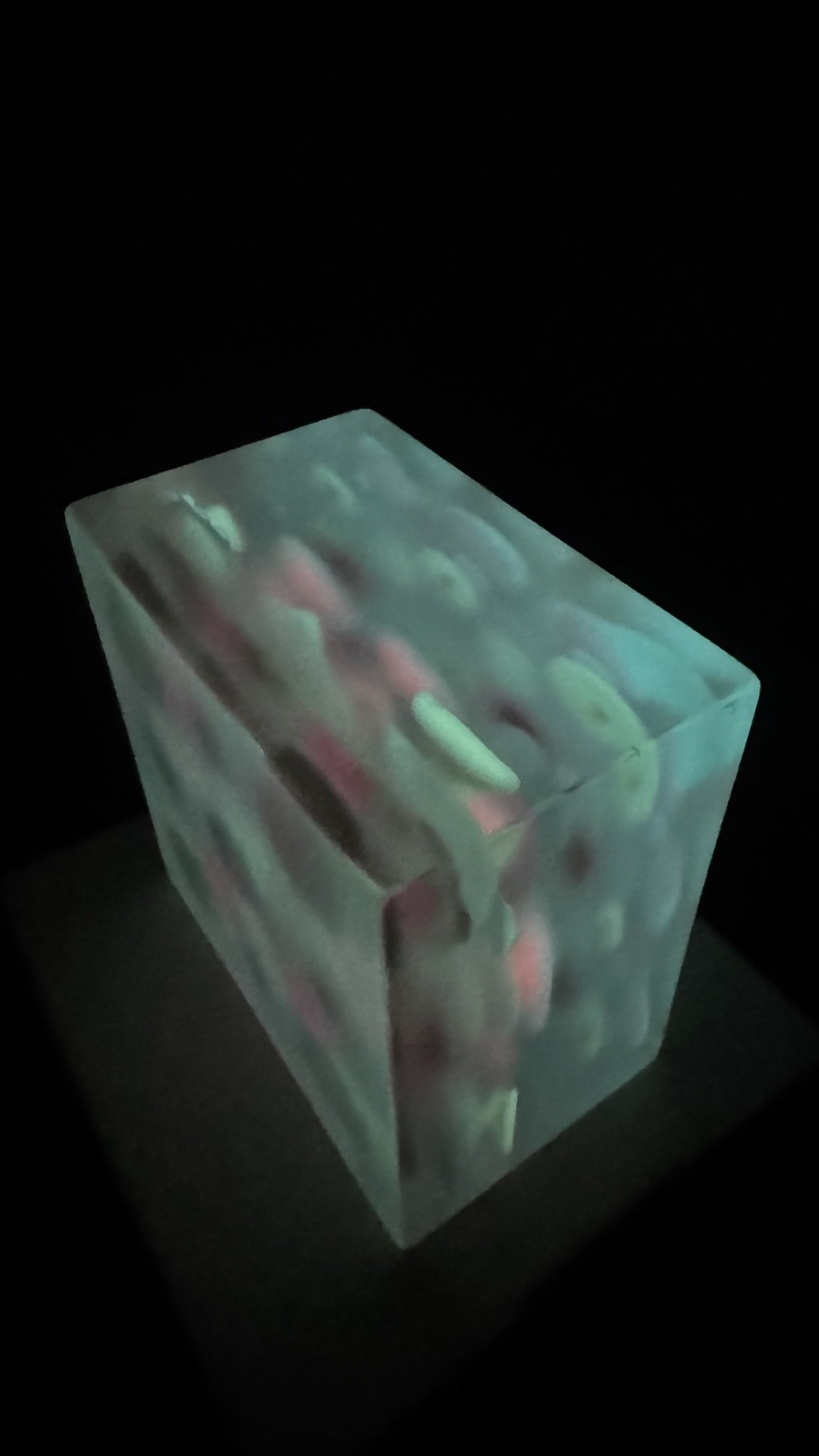 image13.jpeg
