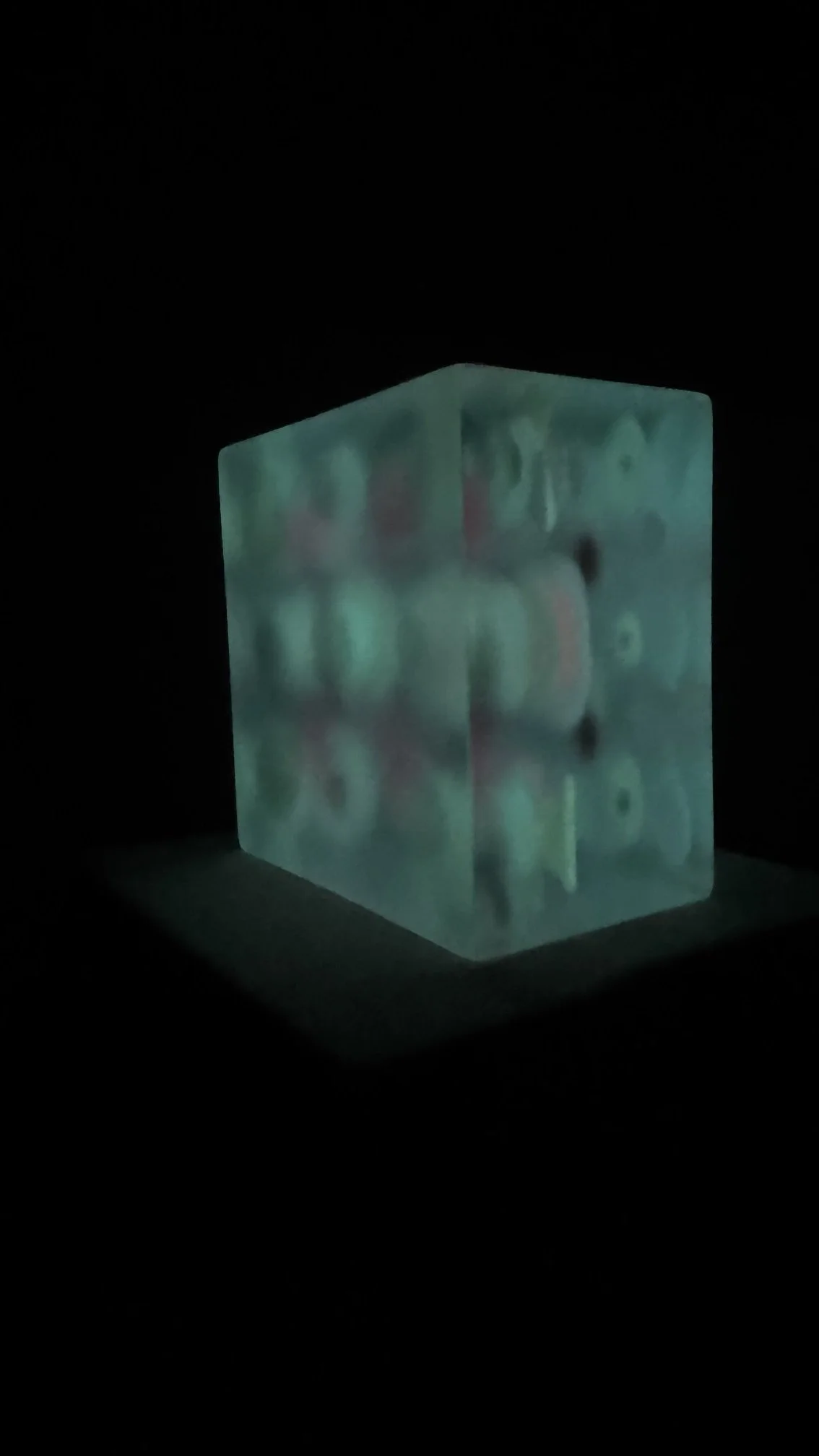 image10.jpeg