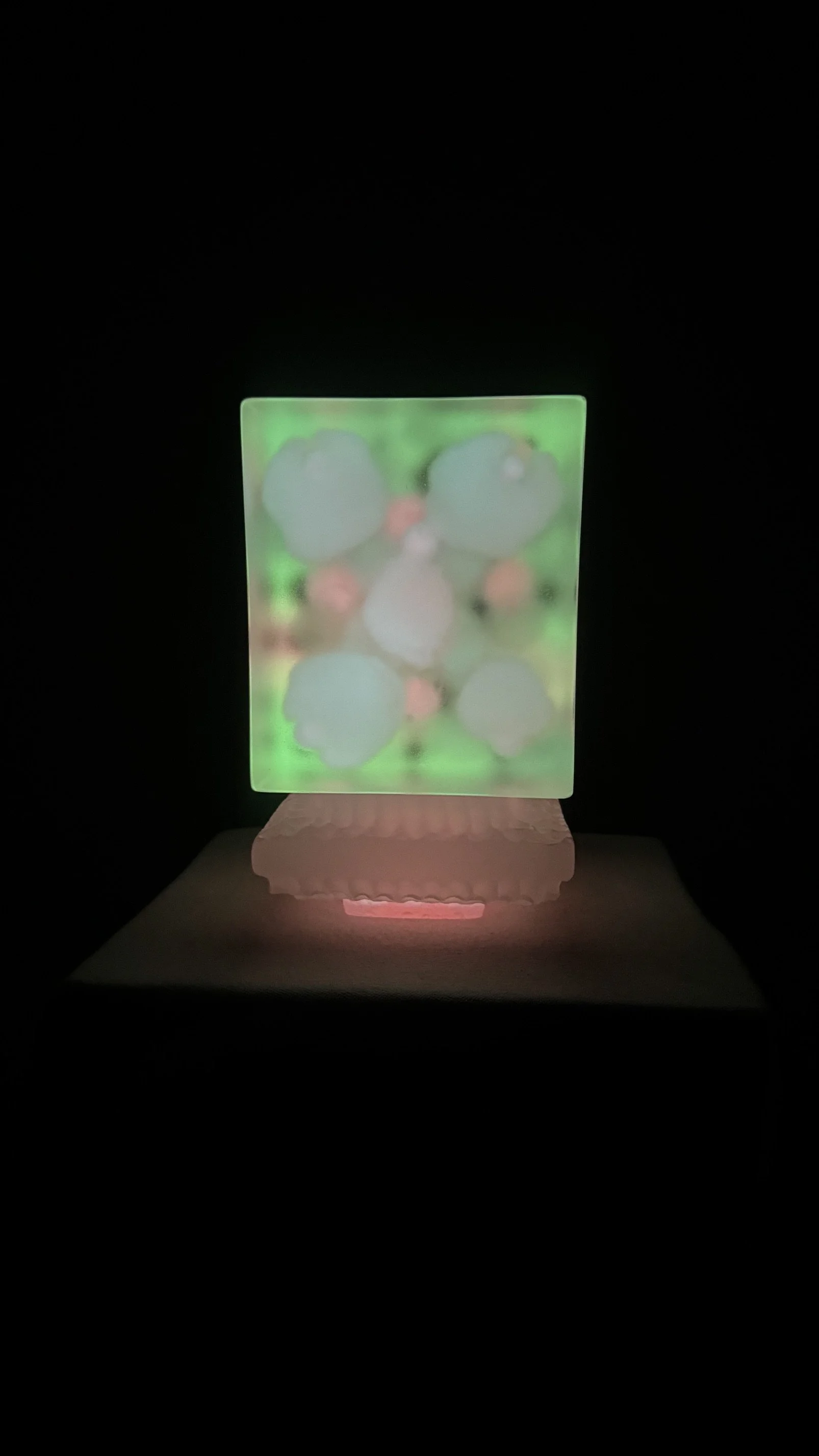 image15.jpeg