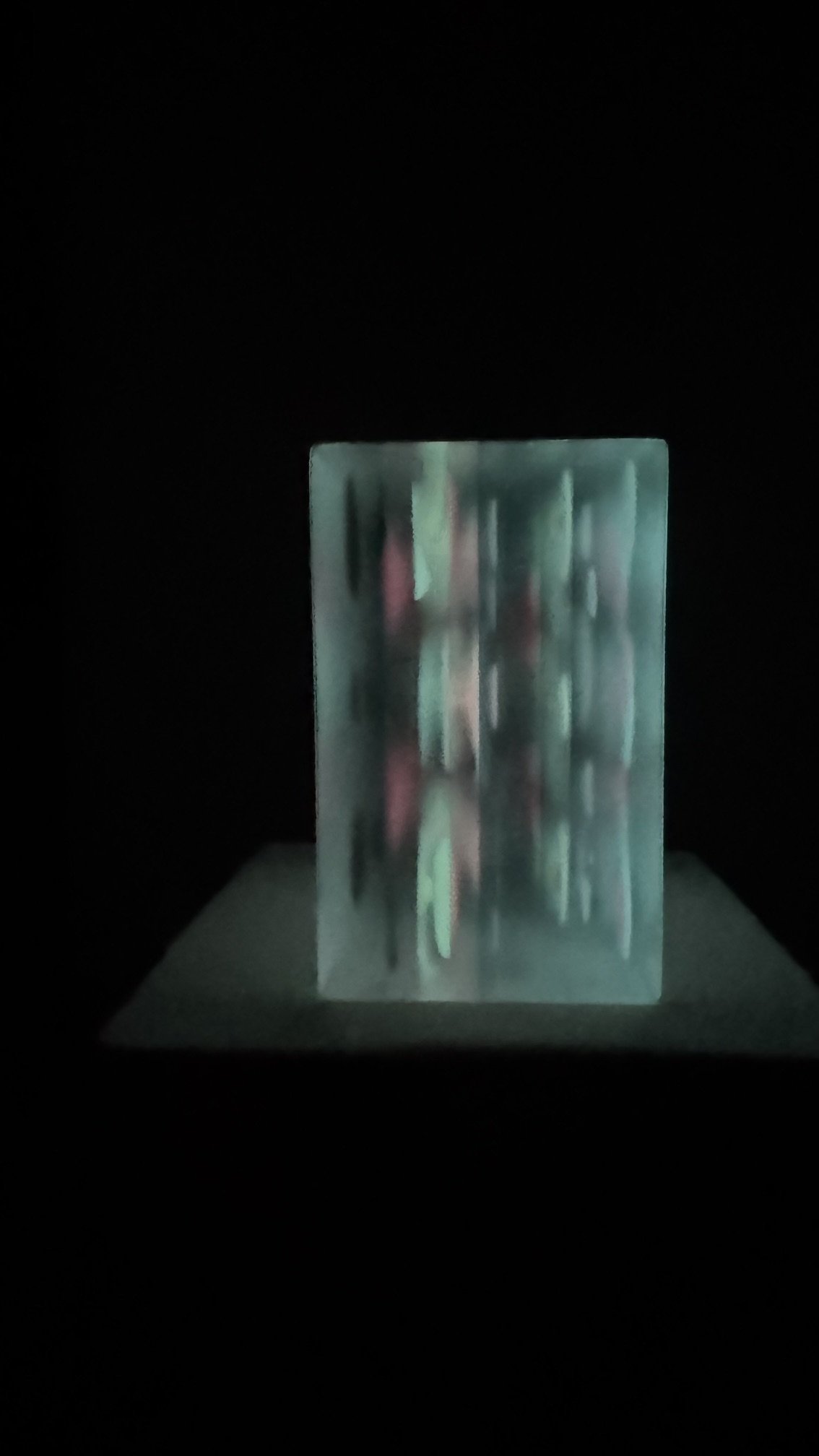image9.jpeg