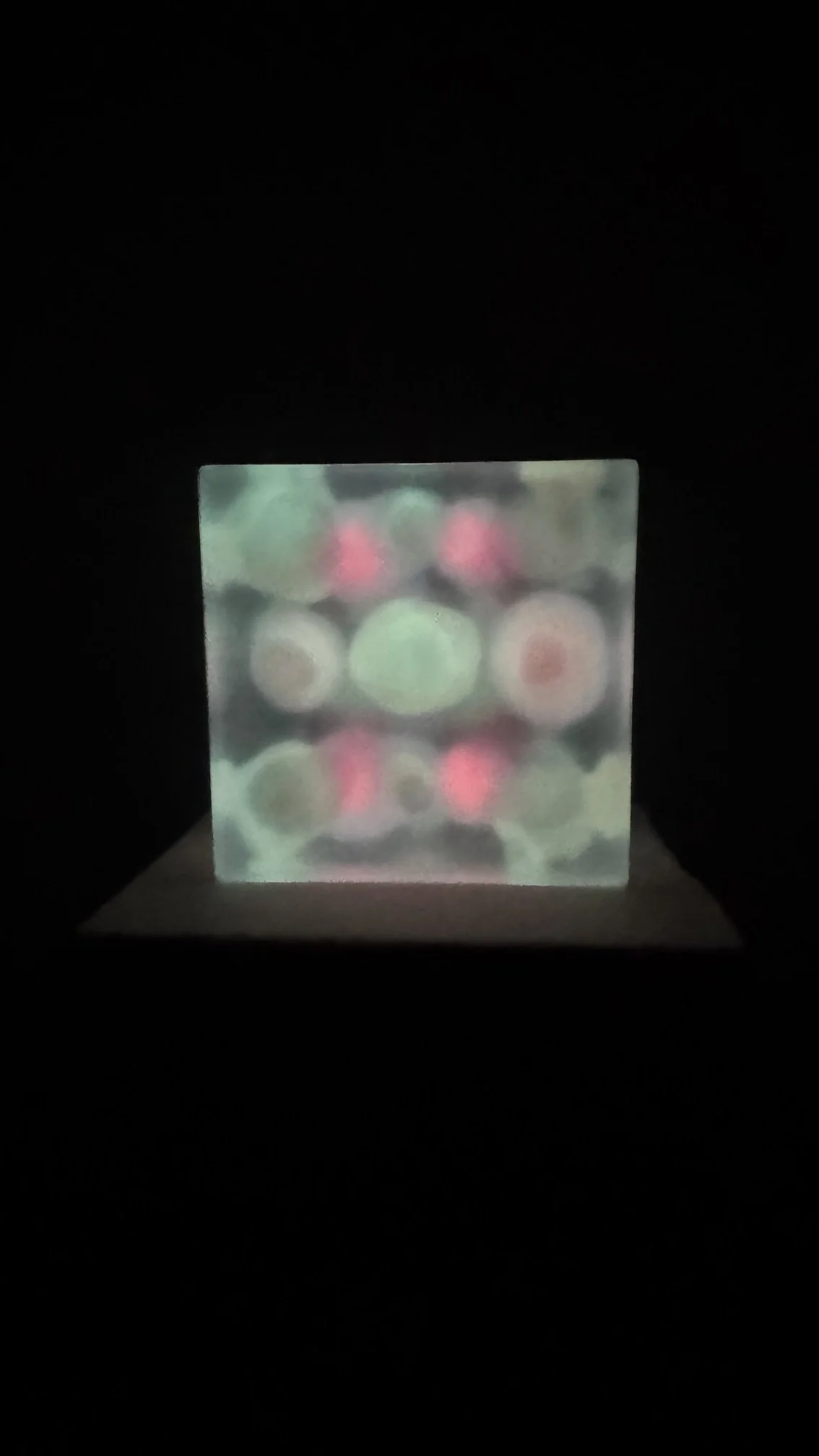 image7.jpeg