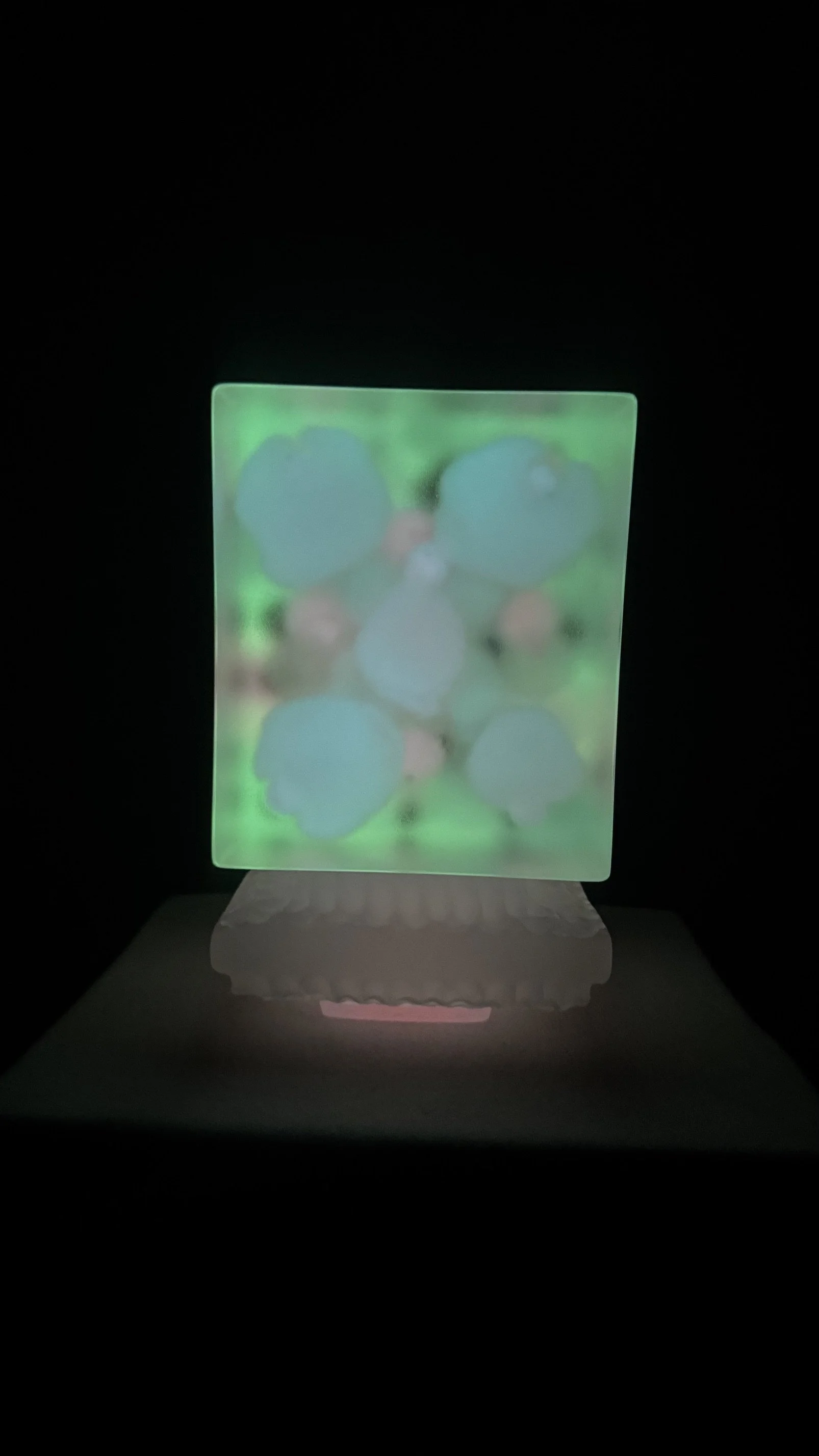 image14.jpeg
