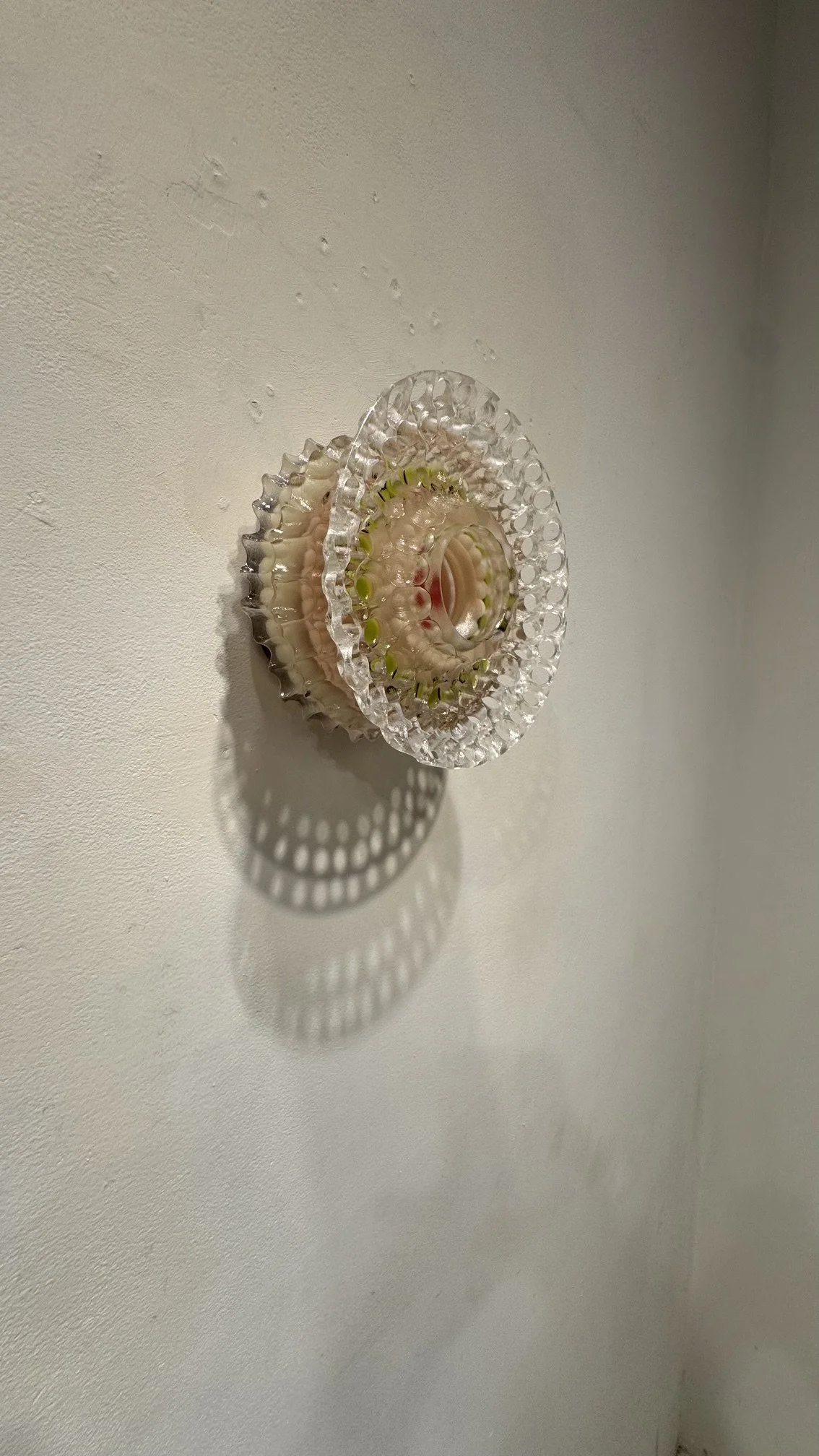 image7.jpeg