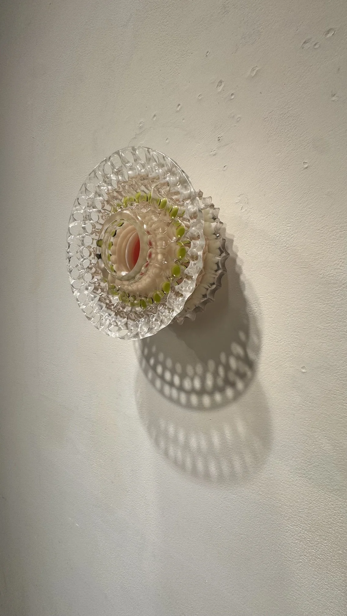 image8.jpeg