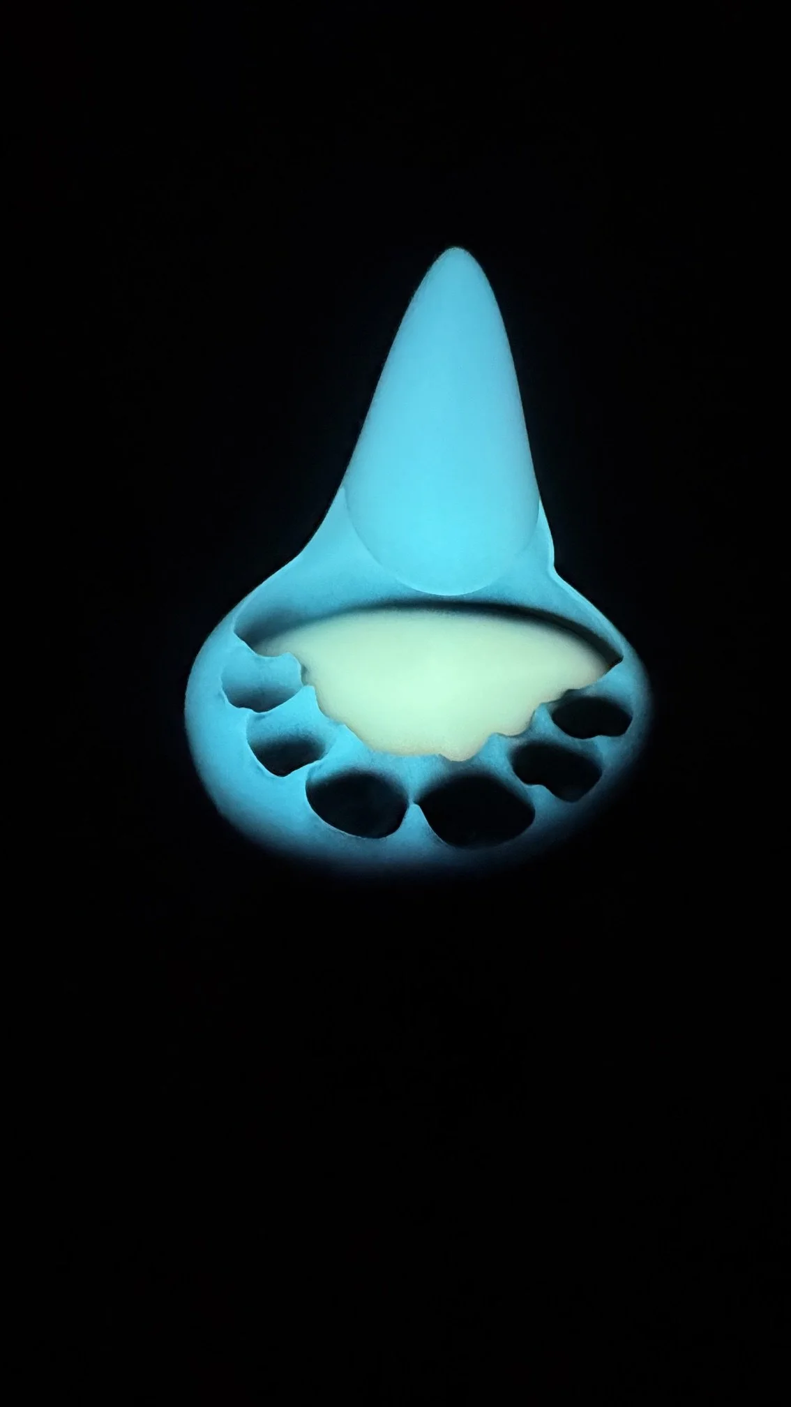 image11.jpeg