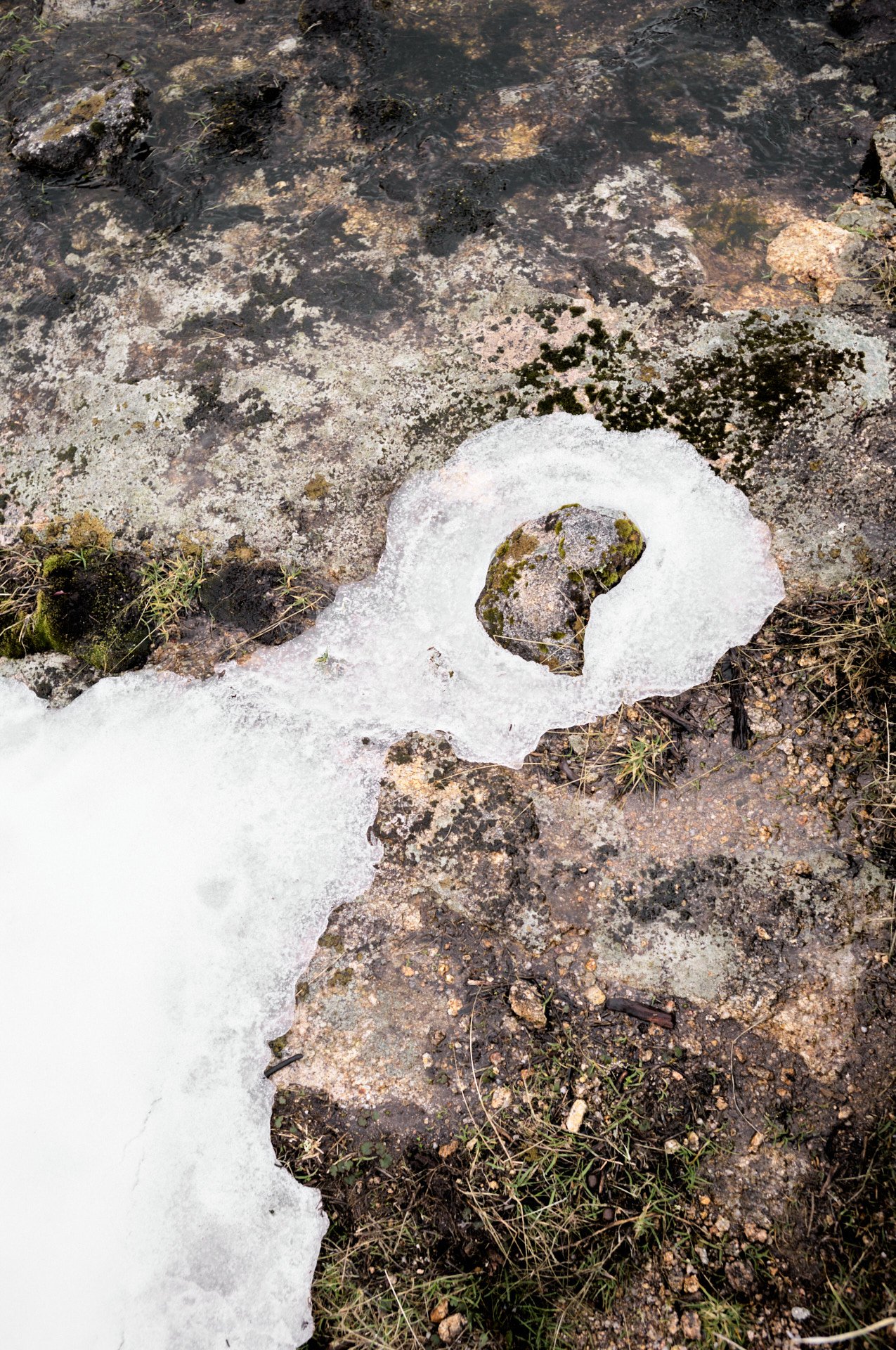 Ice melting on rocks and dirt, with patches of grass and moss.