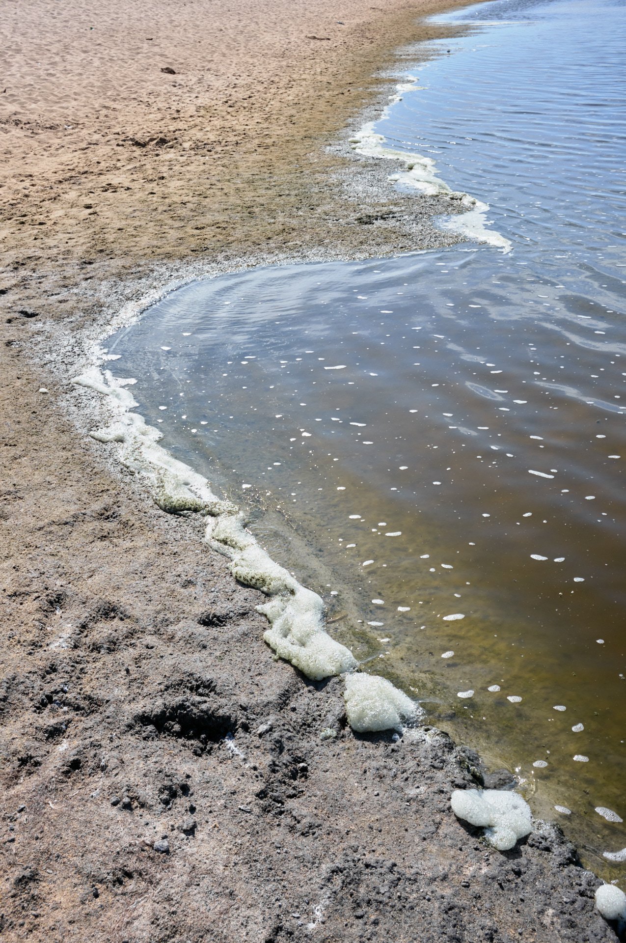 Close-up of a sandy beach with foamy salt deposits along the shoreline and gentle waves lapping at the sand.