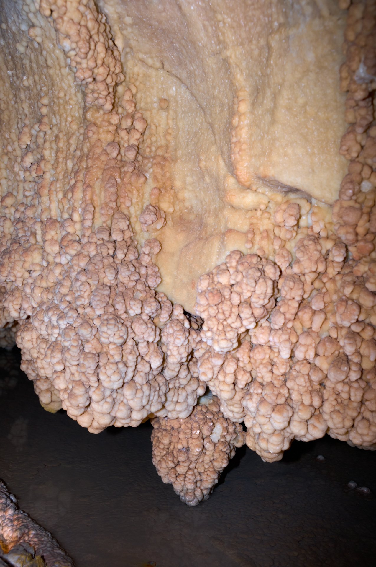 Close-up of stalagmites and stalactites inside a cave.