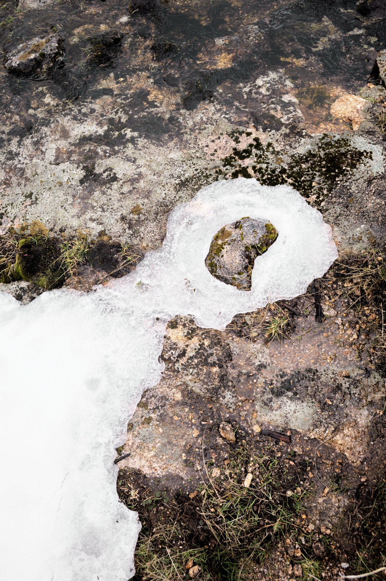 Close-up of melting snow revealing rocks, dirt, and sparse grass beneath.
