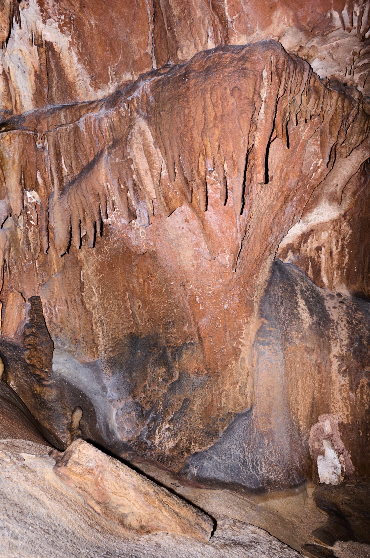 Close-up view of a cave wall with various stalactites and stalagmites, showcasing textured, reddish-brown rocks and mineral deposits.