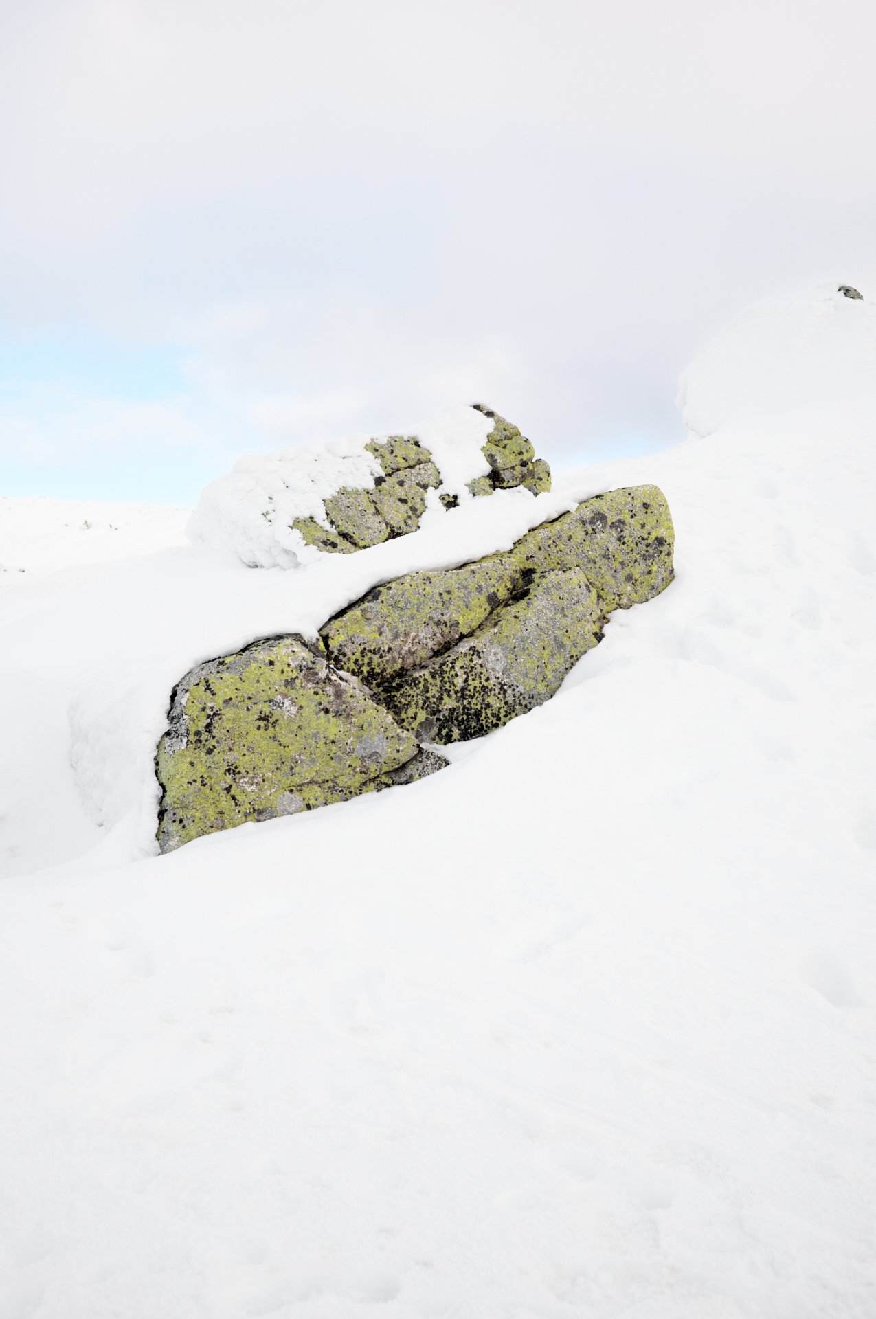Snow-covered rocks with green lichen in a snowy landscape under a cloudy sky.