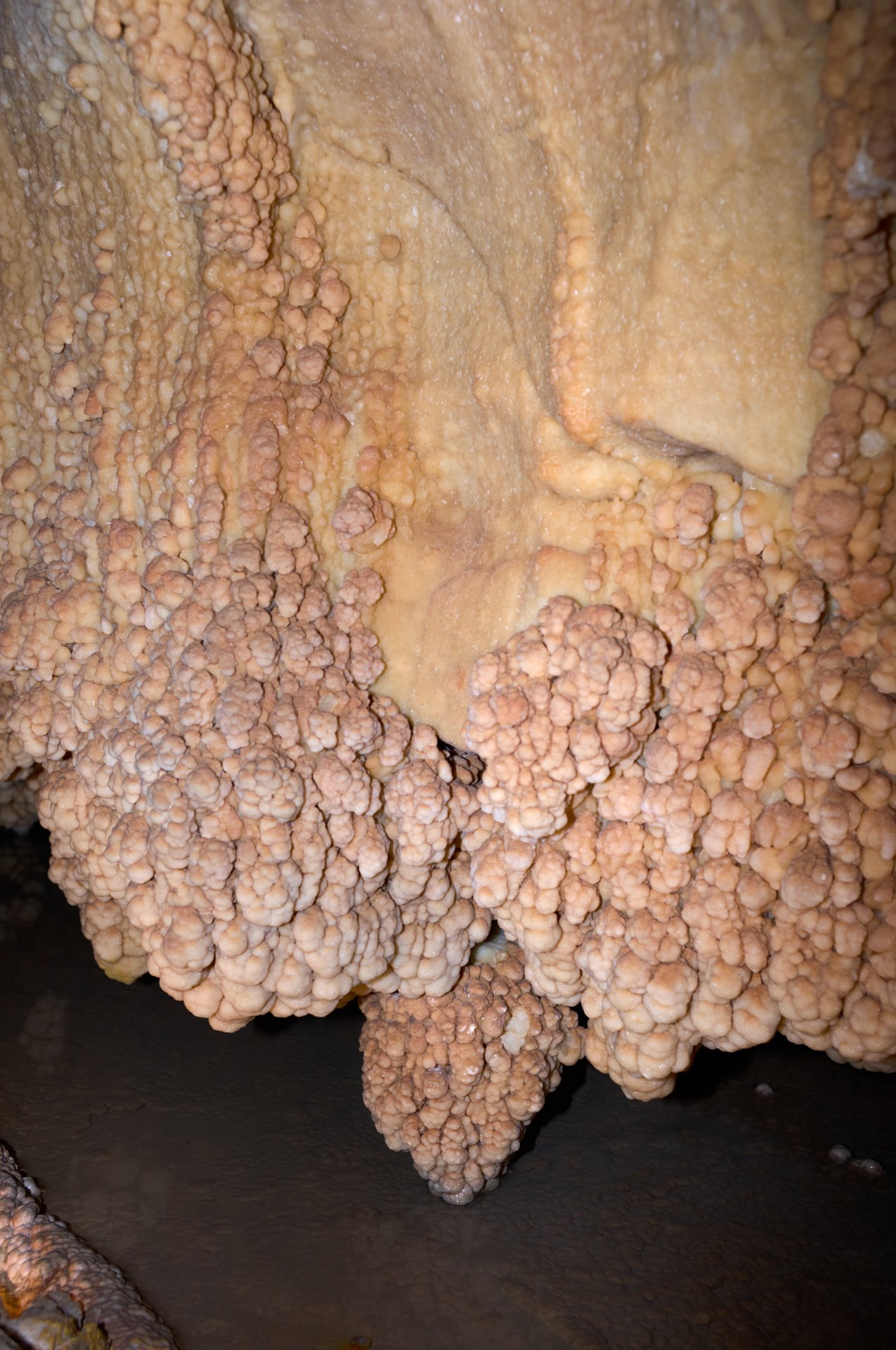 Close-up of orange and tan formation of calcium deposits inside a cave.