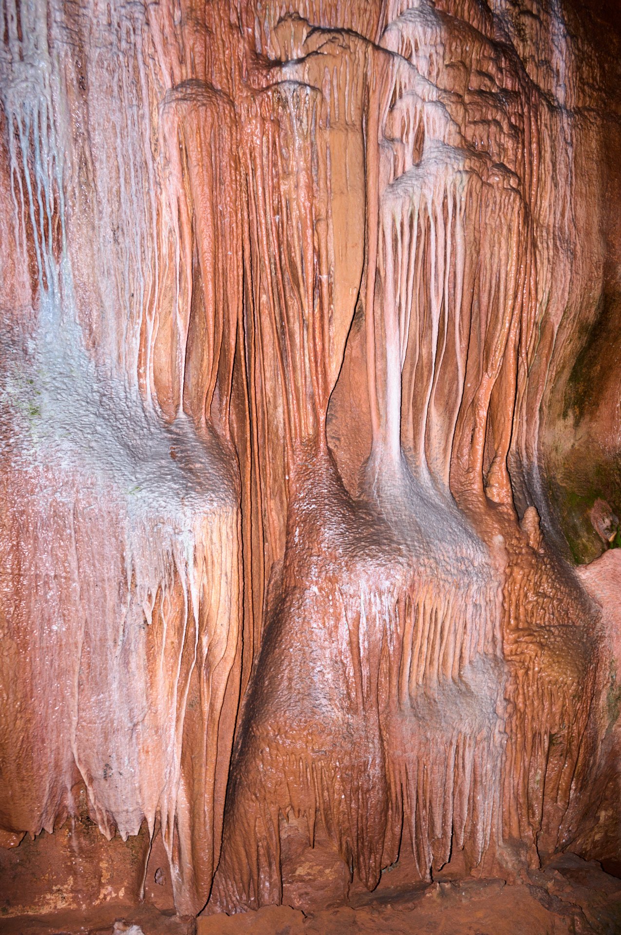 A cave wall with various stalactites and stalagmites in shades of orange and brown.