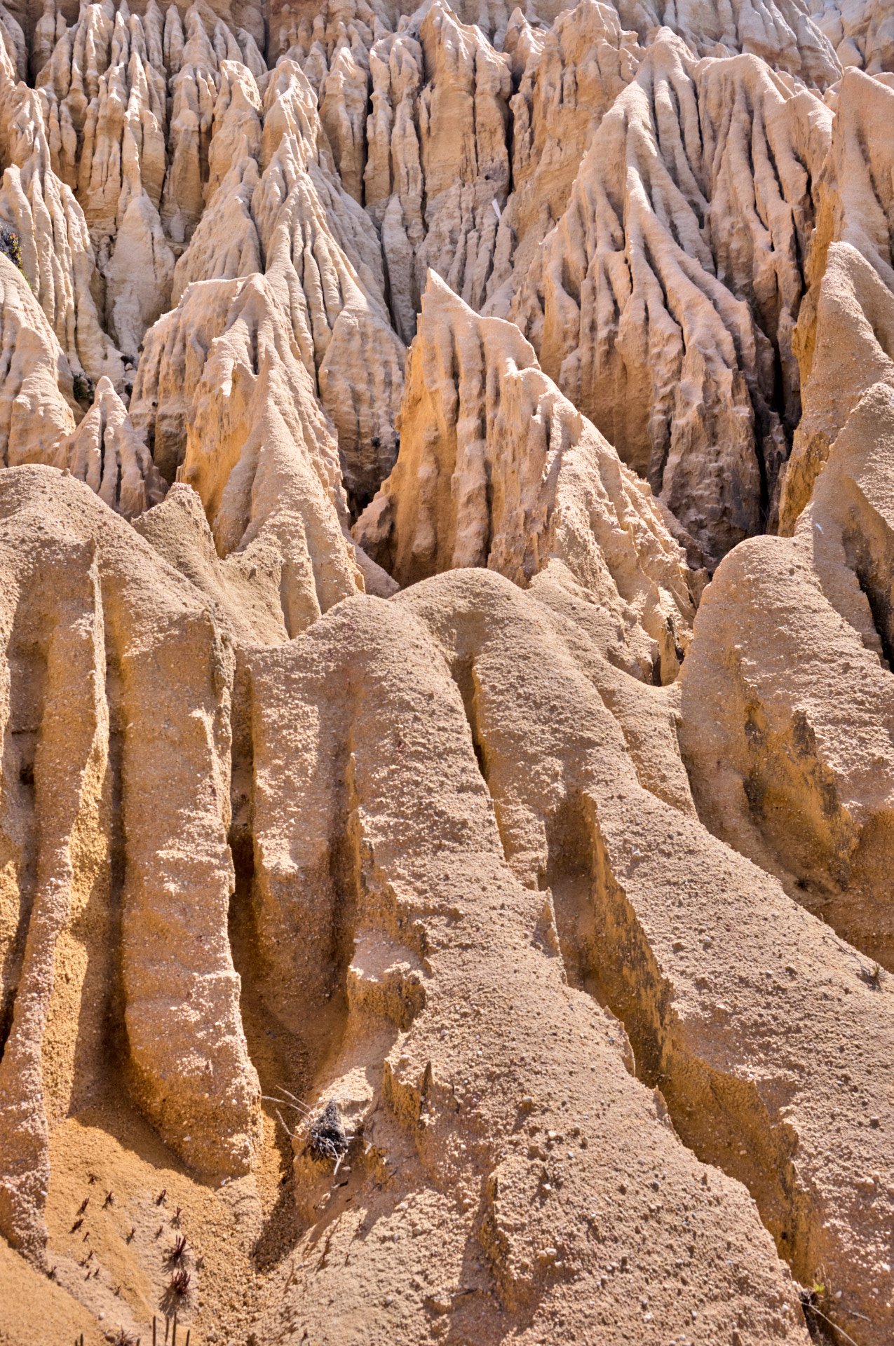 Unique eroded rock formations in a desert landscape, with sharp peaks and ridges, beige and tan colors, under bright sunlight.