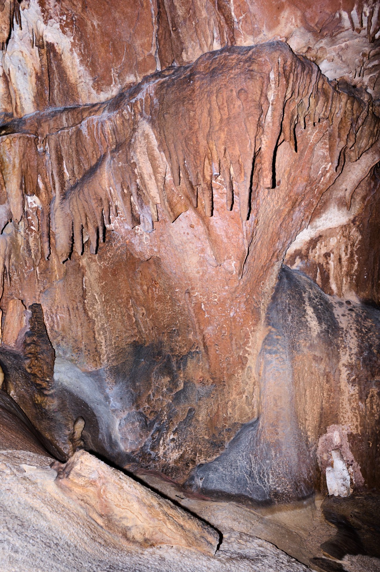 Close-up of a cave wall with brown, orange, and gray stalactites and flowstone formations.