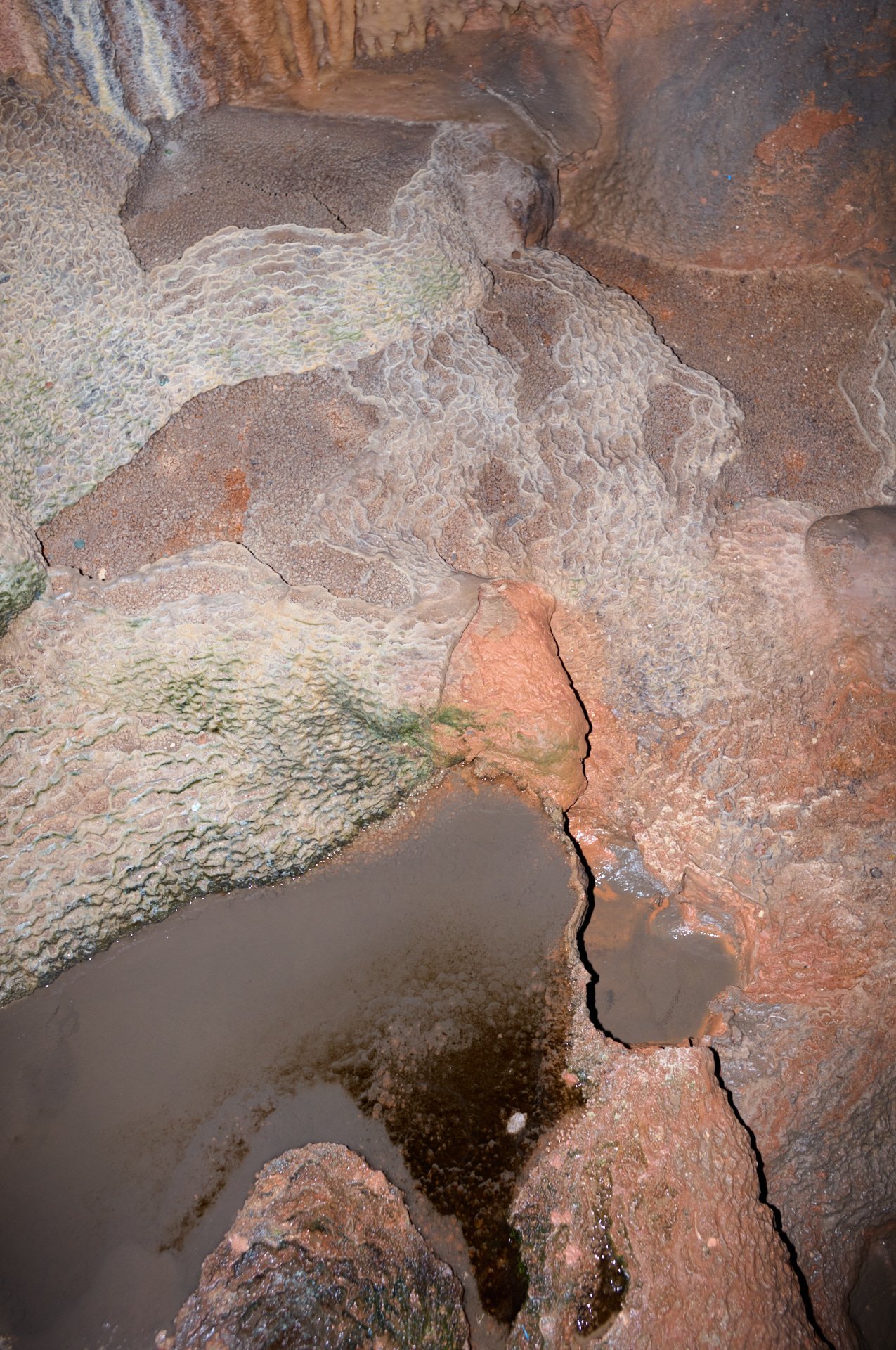Close-up of a rocky cave floor with reddish and greenish textures, cracks, and small pools of water.