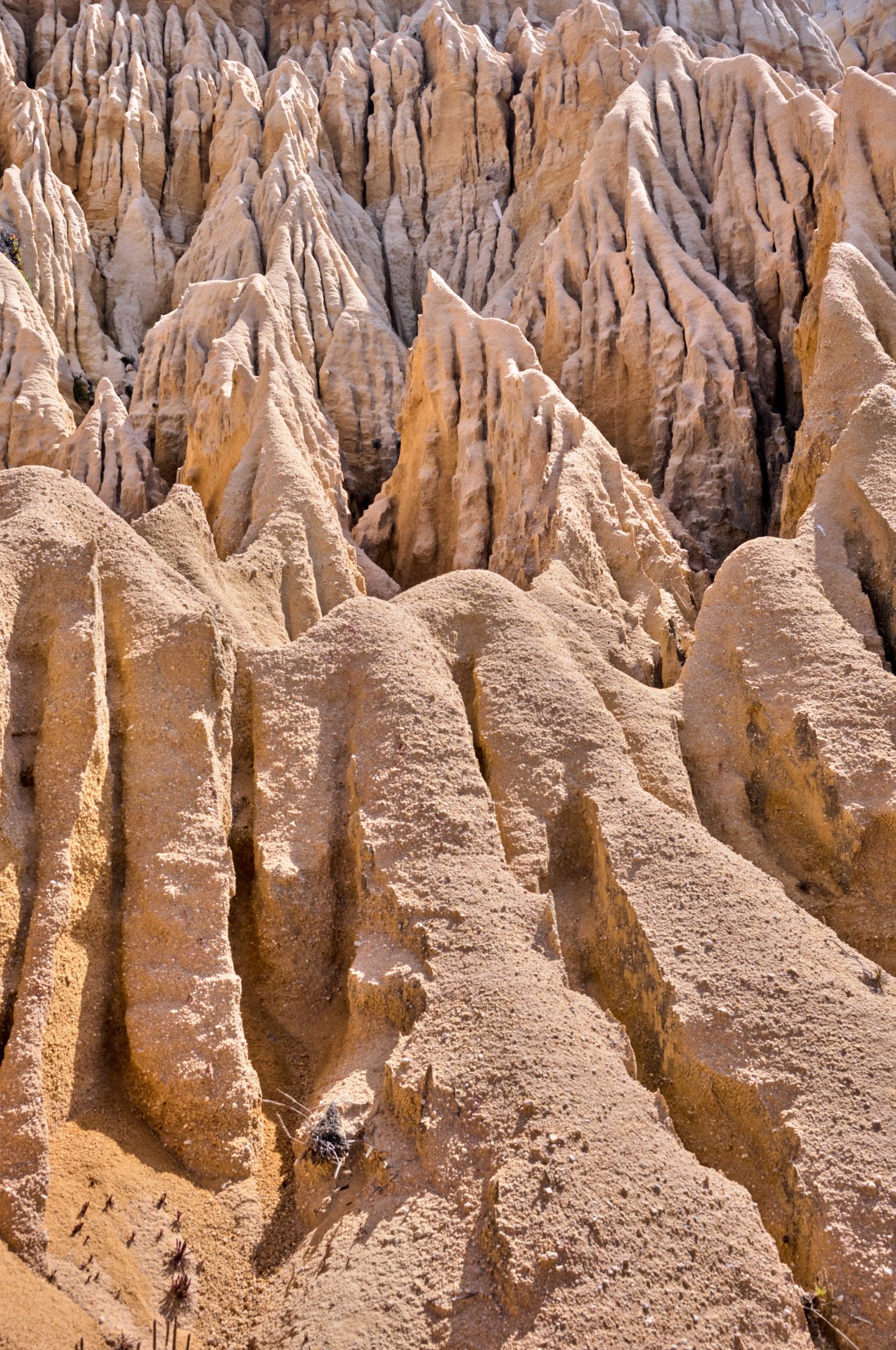 Close-up view of tall, pointed sandstone formations with deep crevices, in a desert landscape.