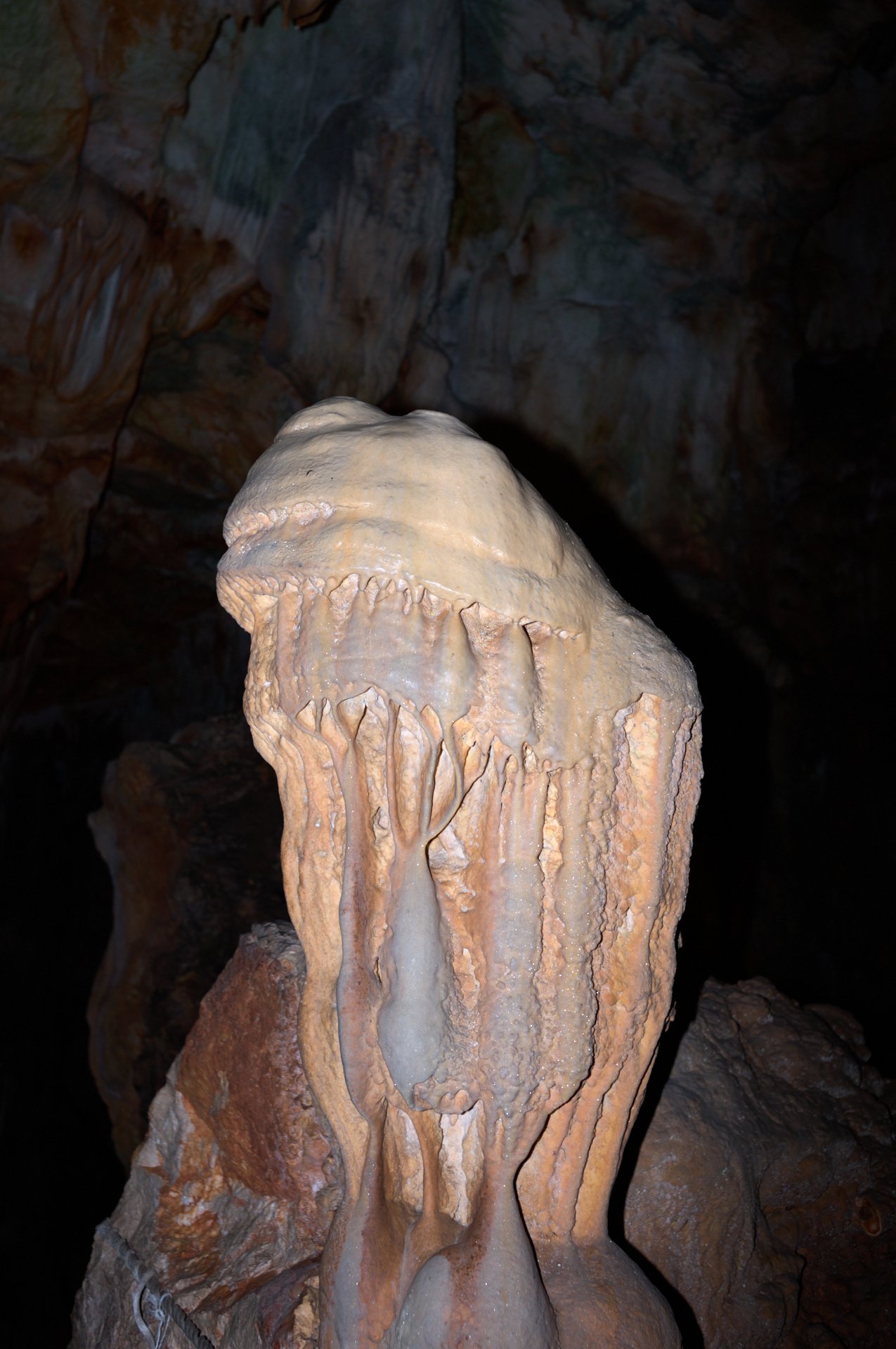 A stalagmite inside a dark cave, with water dripping and mineral deposits creating textured shapes.