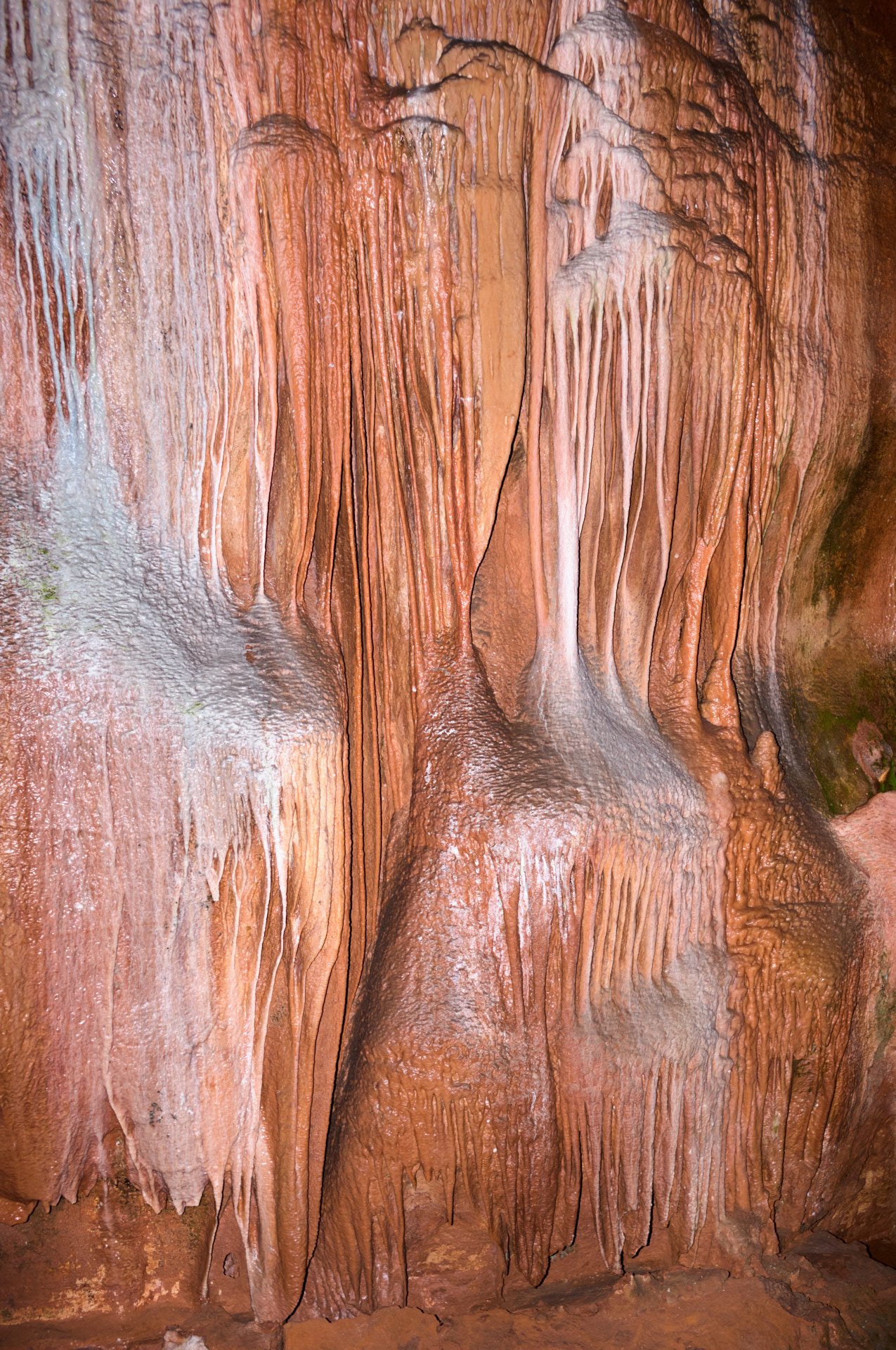 Close-up of a wet cave wall with pink and white stalactites and stalagmites.