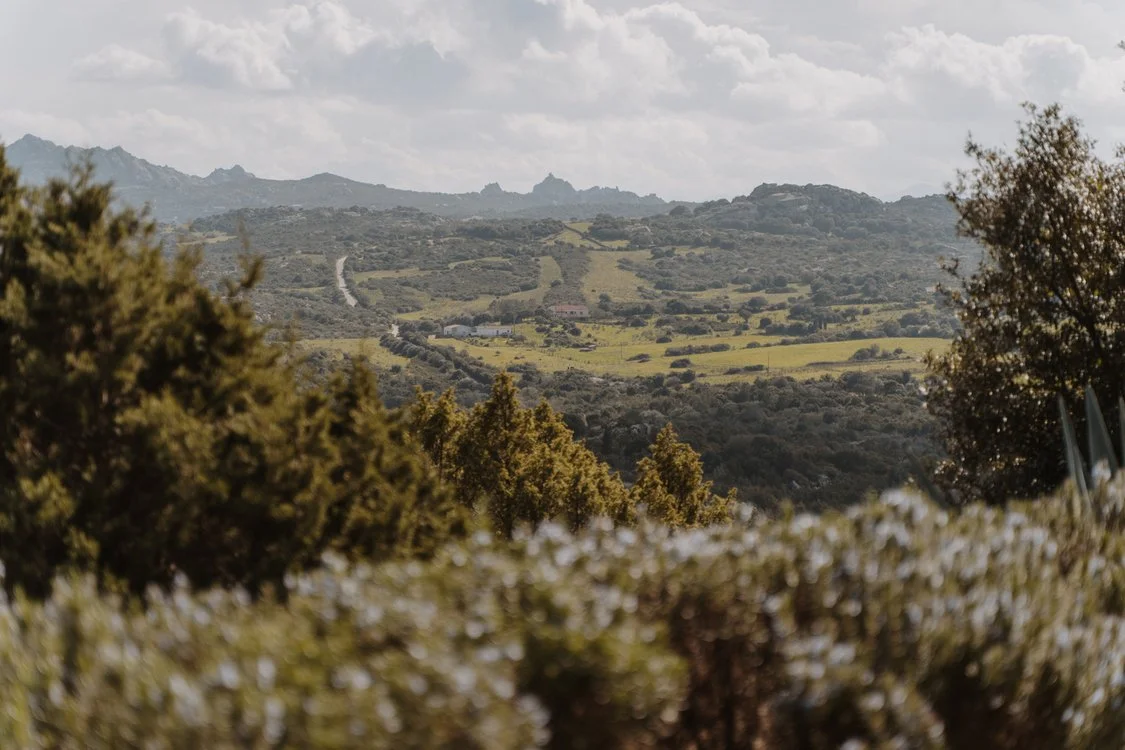 Vista sulle colline dalla piscina di Mascaratu