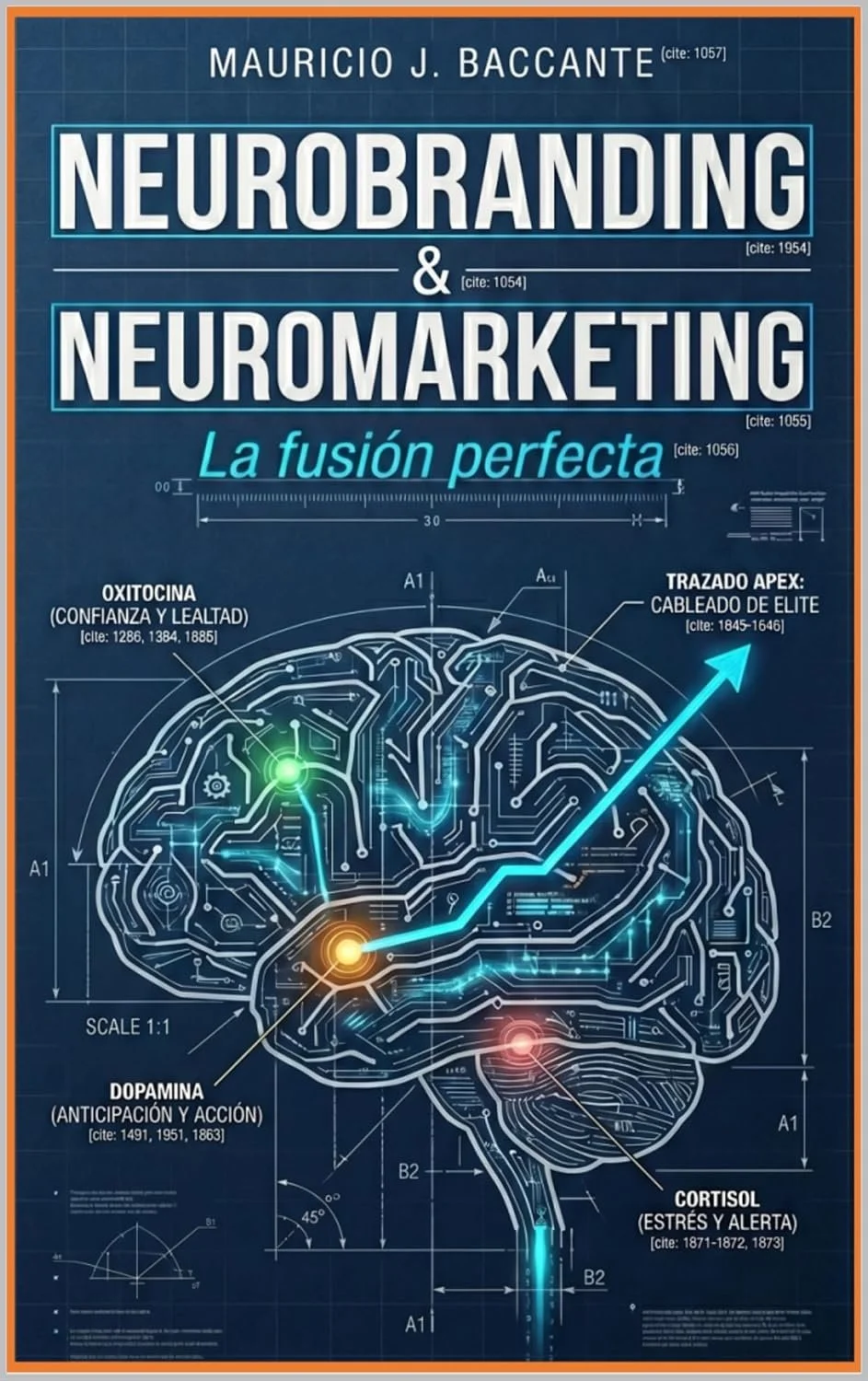 Brain - Marketing - Branding - Mauricio Baccante