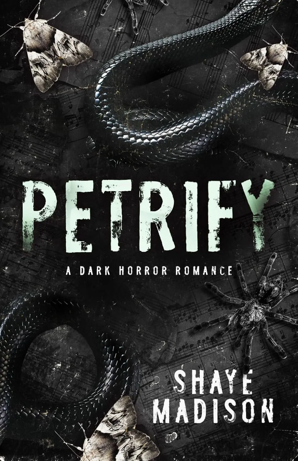 Petrify: A Dark Horror Romance