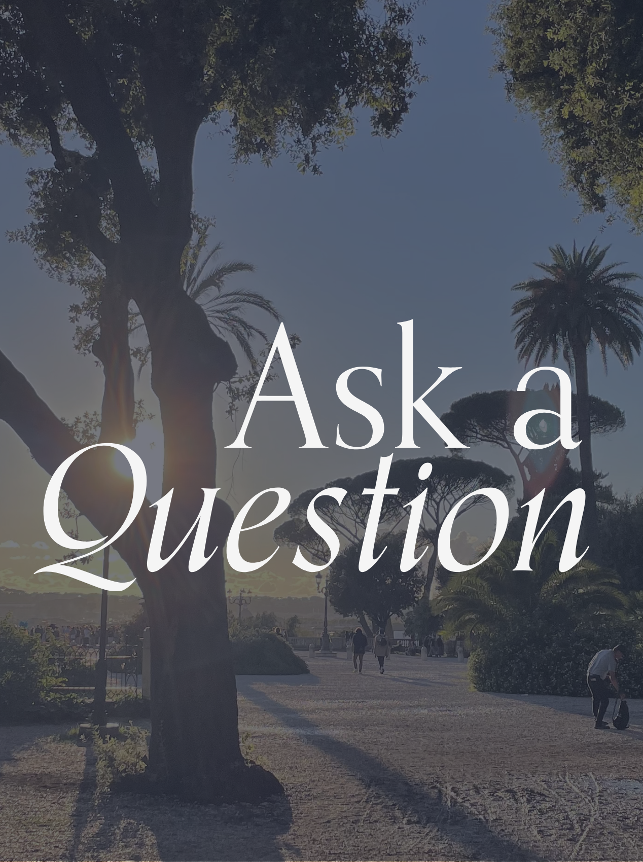 Ask a Rome Question .png