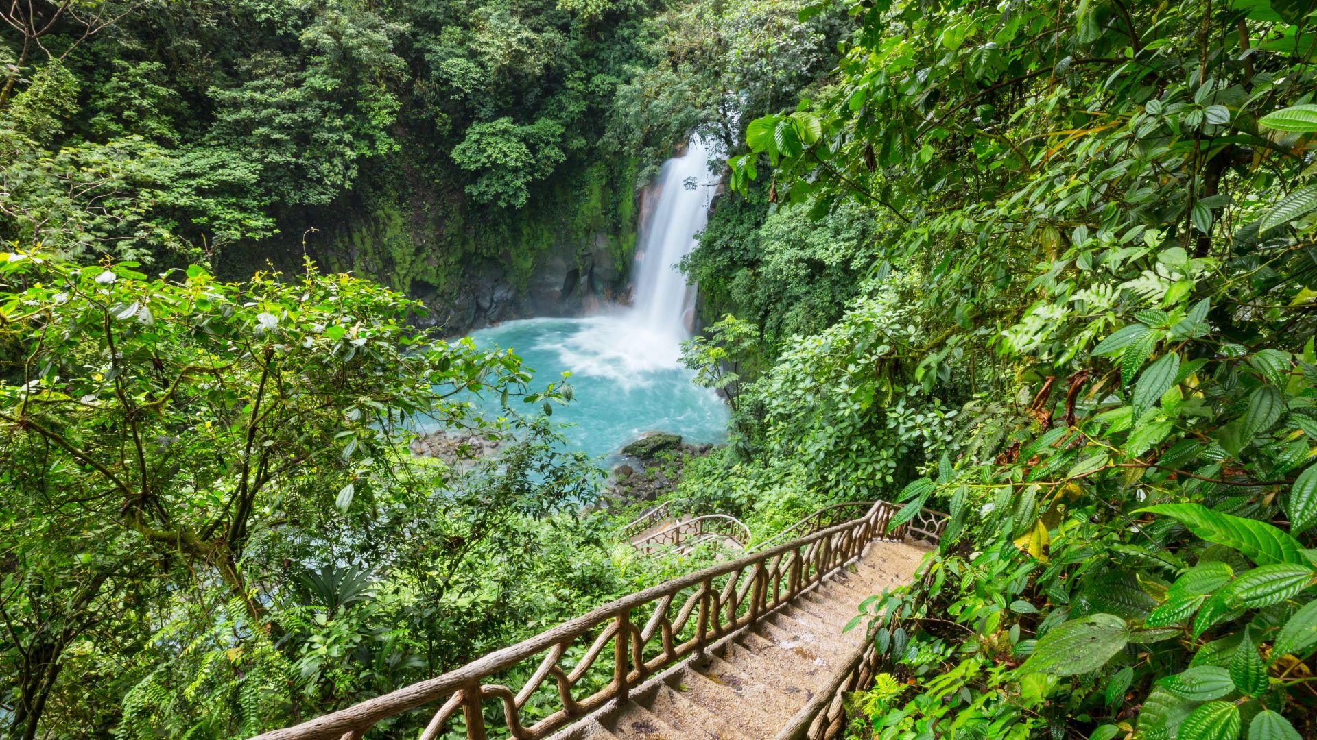 Costa Rica rainforest adventure (11).jpg