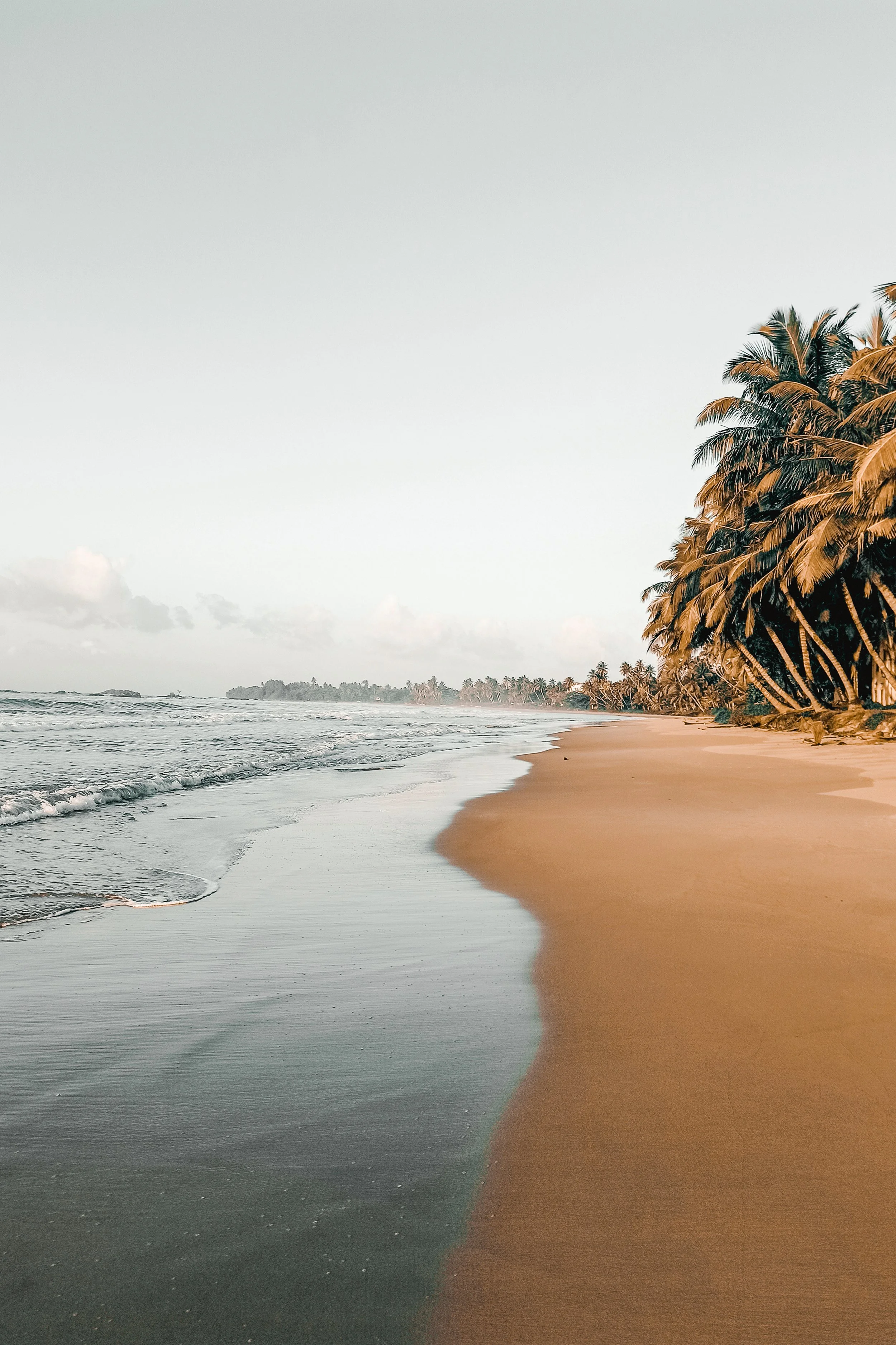 Beach 2x3 (225).jpg