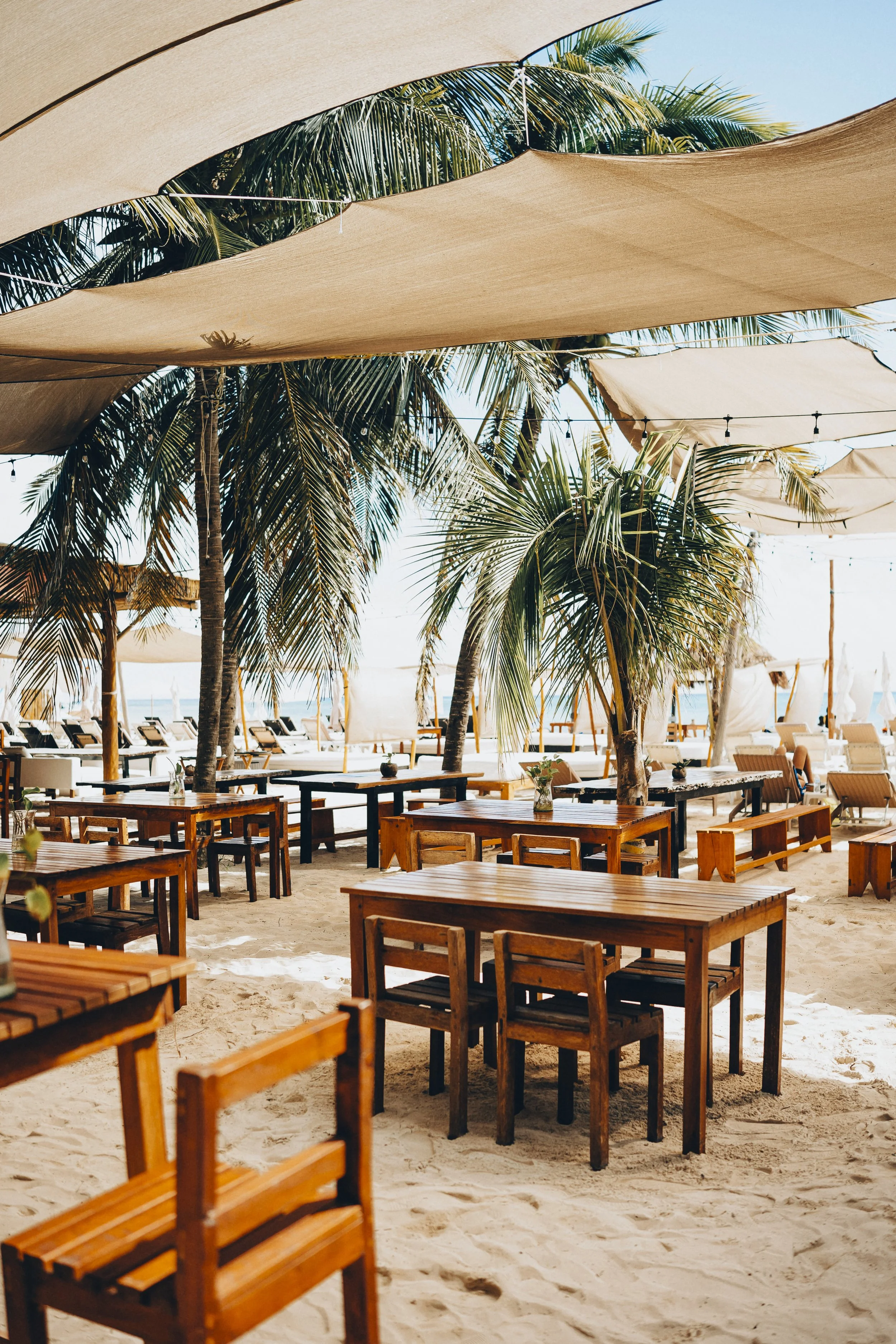 Beach 2x3 (1273).jpg