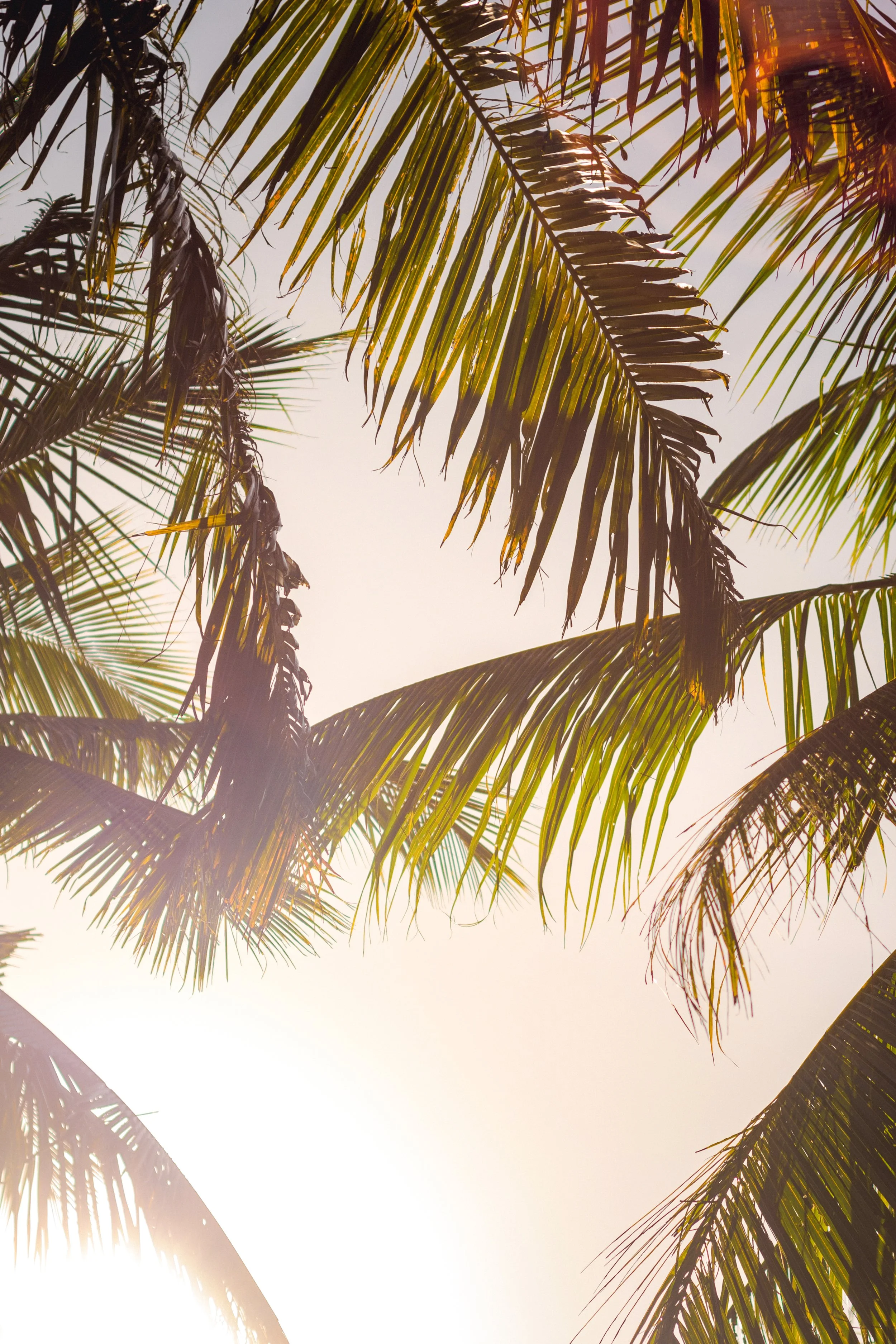 Beach 2x3 (62).jpg