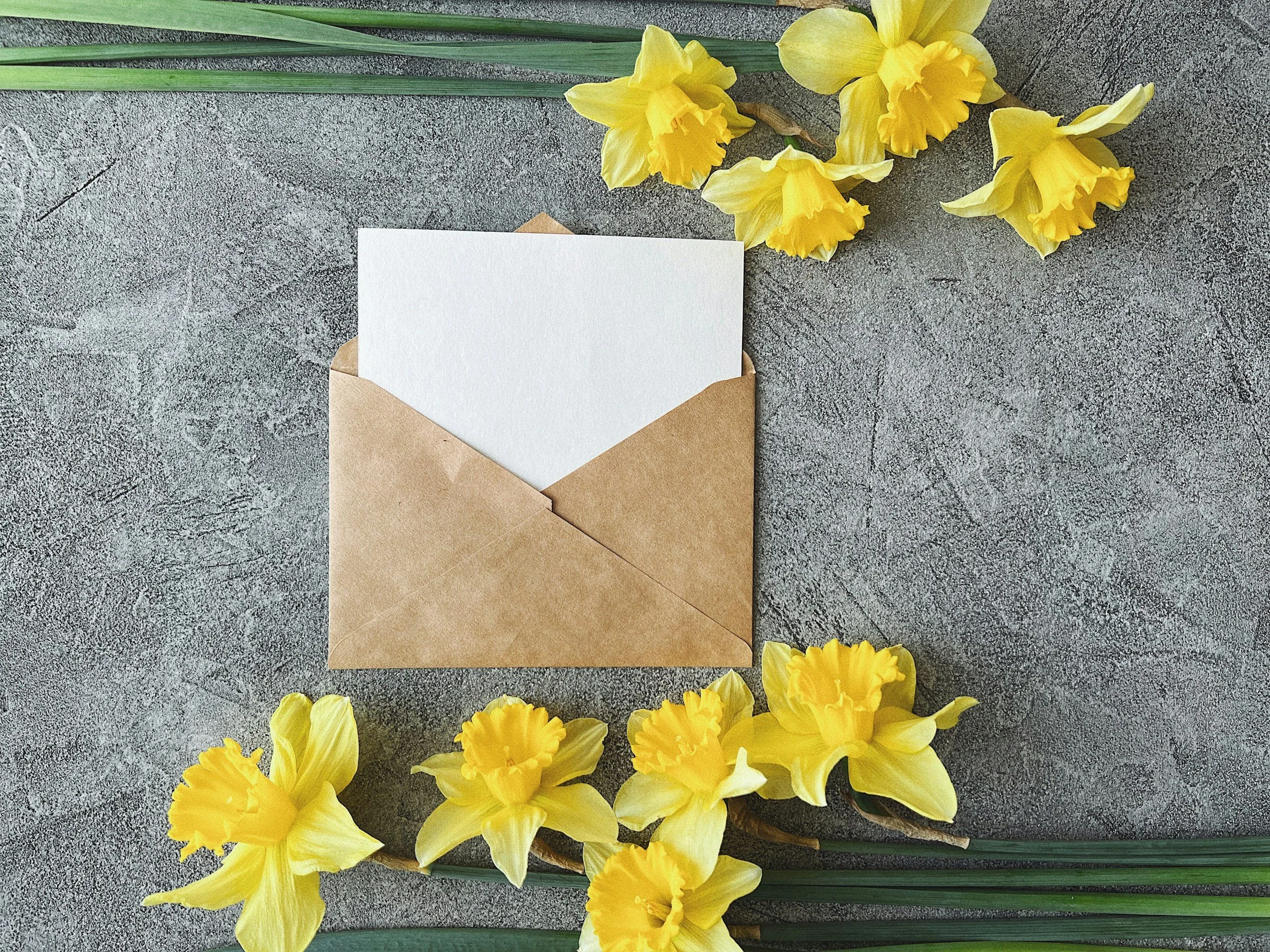 A brown paper envelope with a white card inside on a gray textured surface, surrounded by yellow daffodil flowers and green leaves.