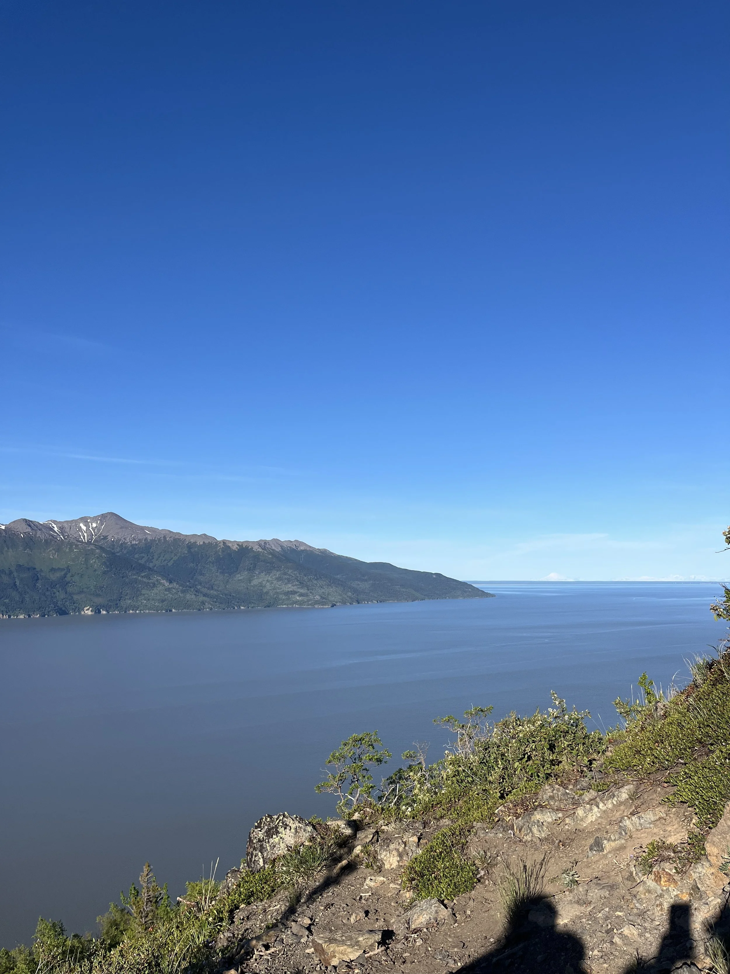 Turnagain Arm Overlook via Rainbow Peak Trailhead in Anchorage, Alaska