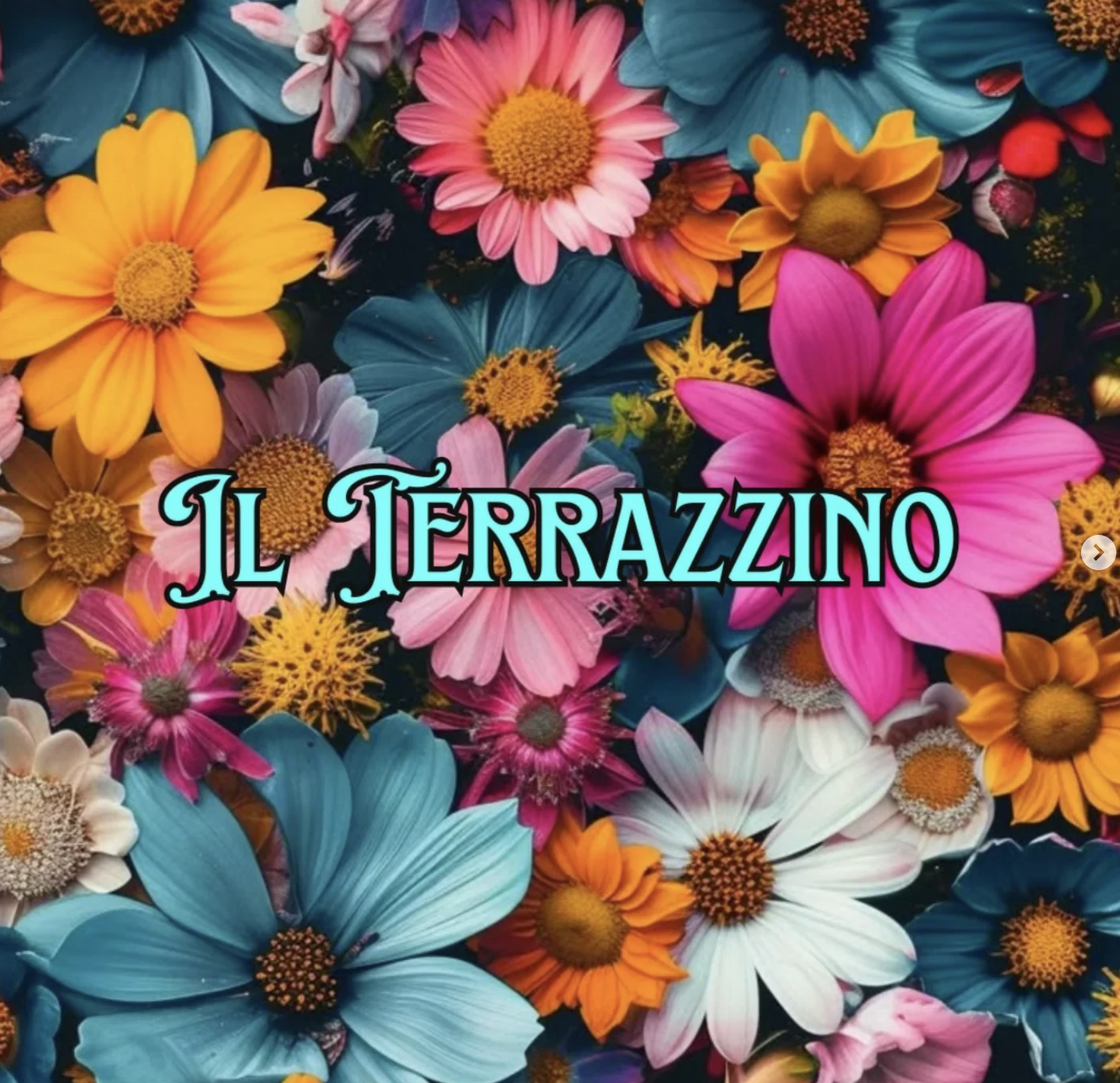 Colorful assorted flowers with the text "IL TERRAZZINO" in blue and black in the center.