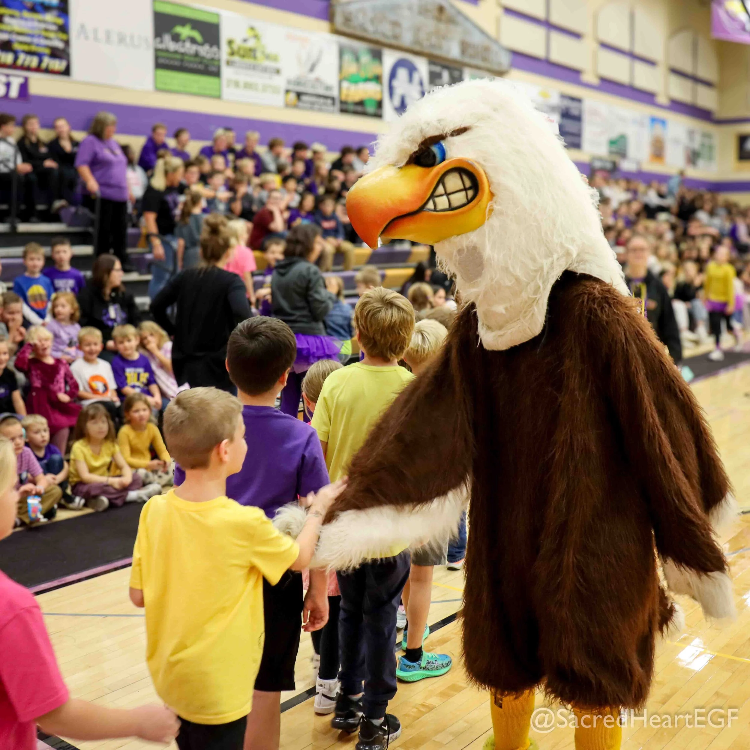 Mascot at pep rally