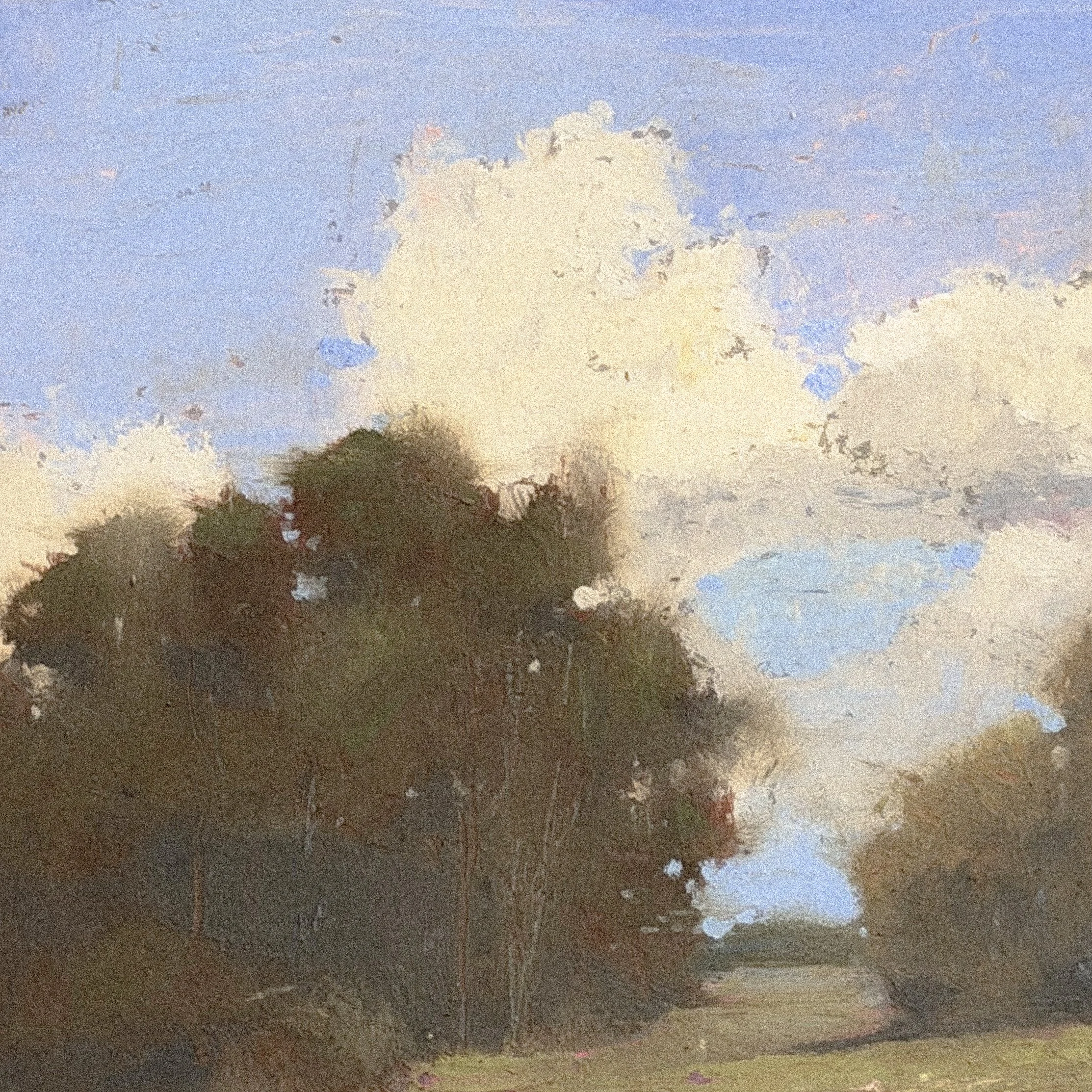 Clouds in a blue sky over a landscape with trees and grass.