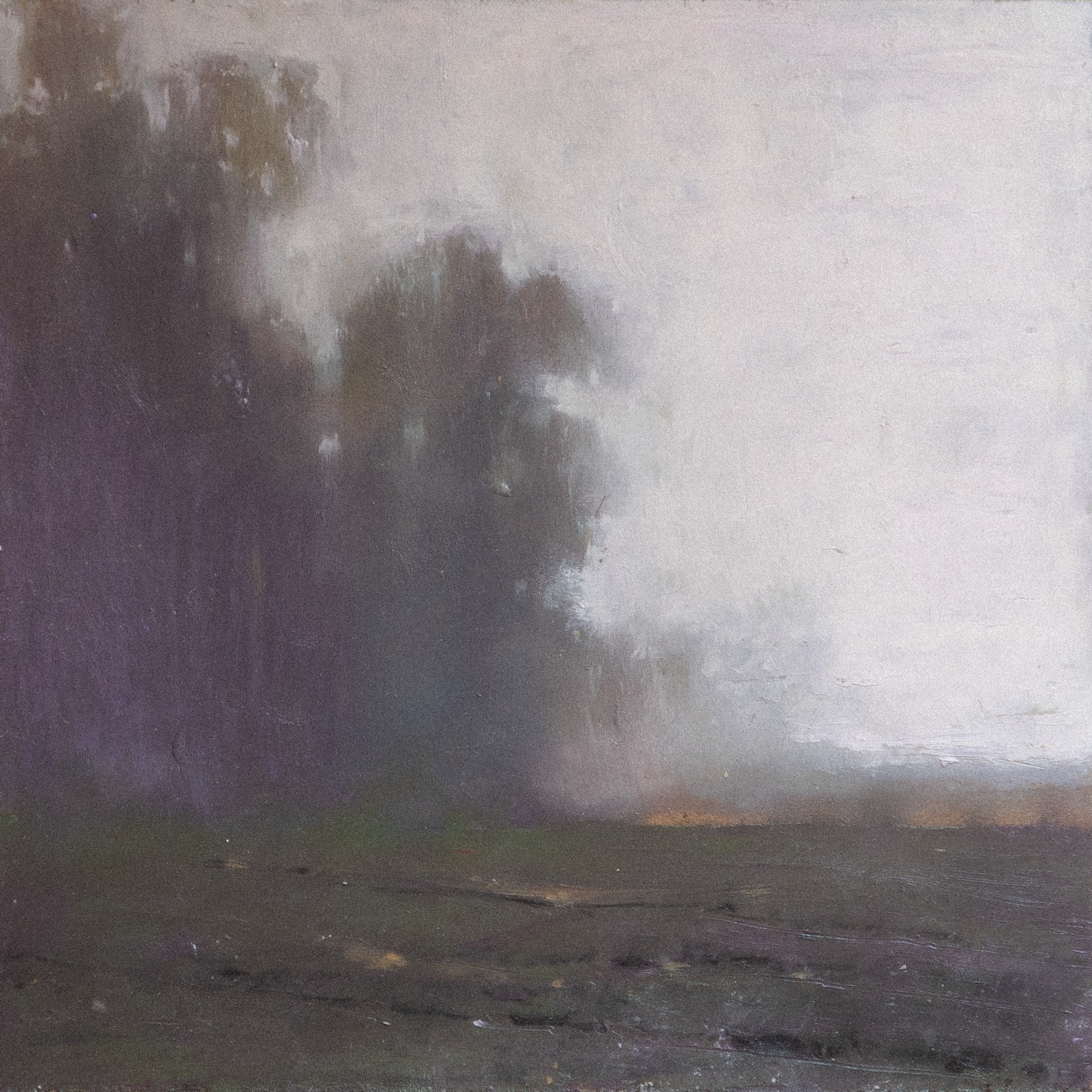 Light Through Mist