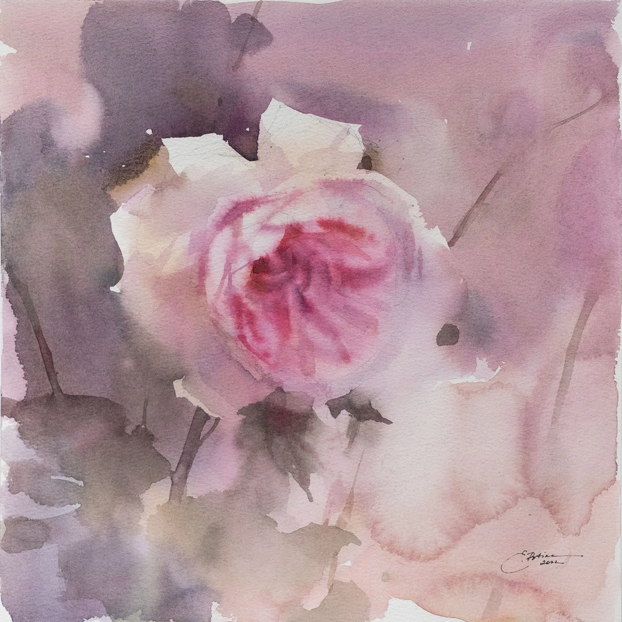Rose — Available