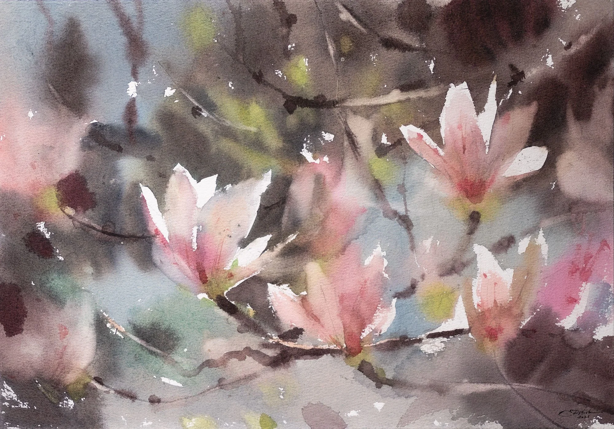 Magnolia 