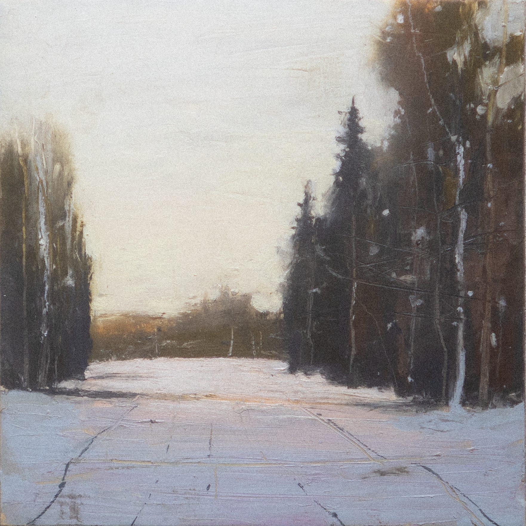 Winter Path 